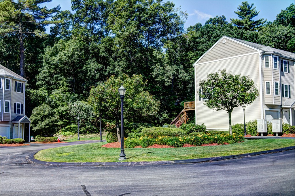 262 Littleton Road, Unit 22 Chelmsford, MA 01824 - Photo 30 of 30 a view of a house with a yard and large trees