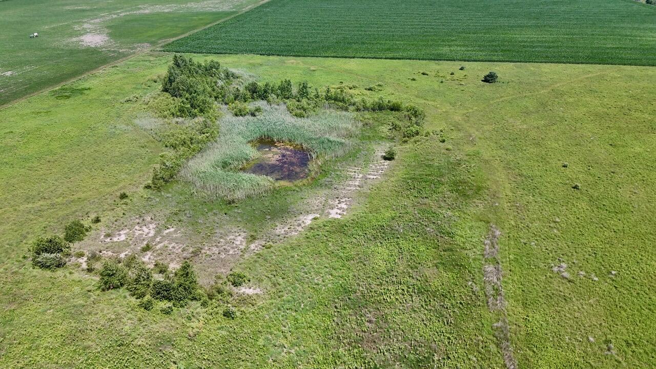 DJI_20260711121701_0836_D