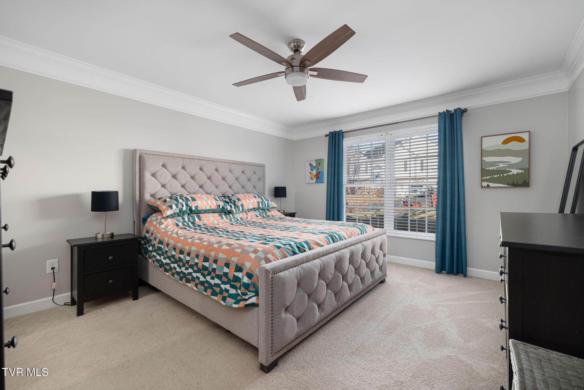 16 Taylor Ridge Court Johnson City, TN 37601 - Photo 16 of 60 IMG_7849