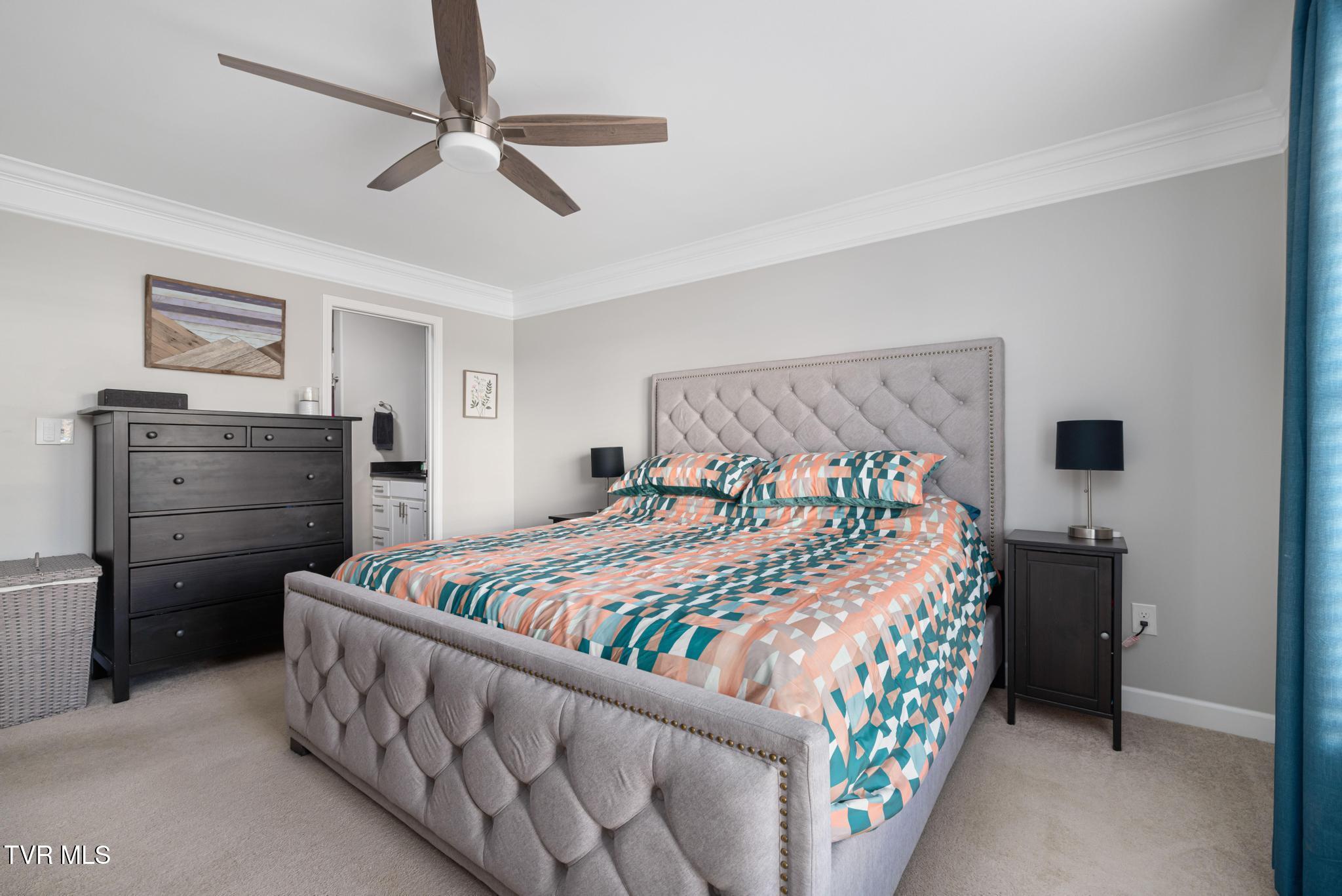 16 Taylor Ridge Court Johnson City, TN 37601 - Photo 20 of 60 IMG_7856