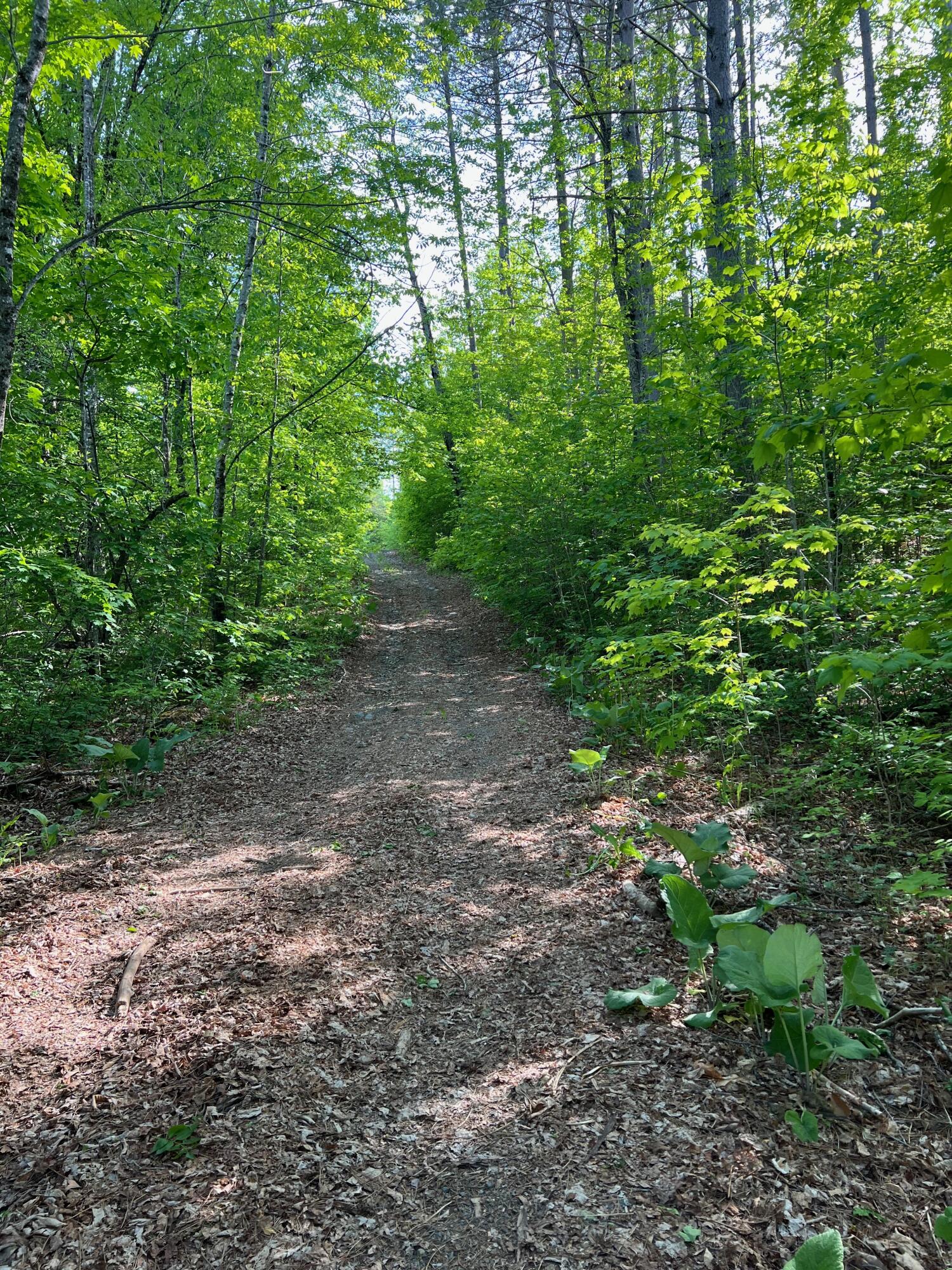 60 Hutchinson Road Linneus, ME 04730 - Photo 5 of 20 IMG_4271