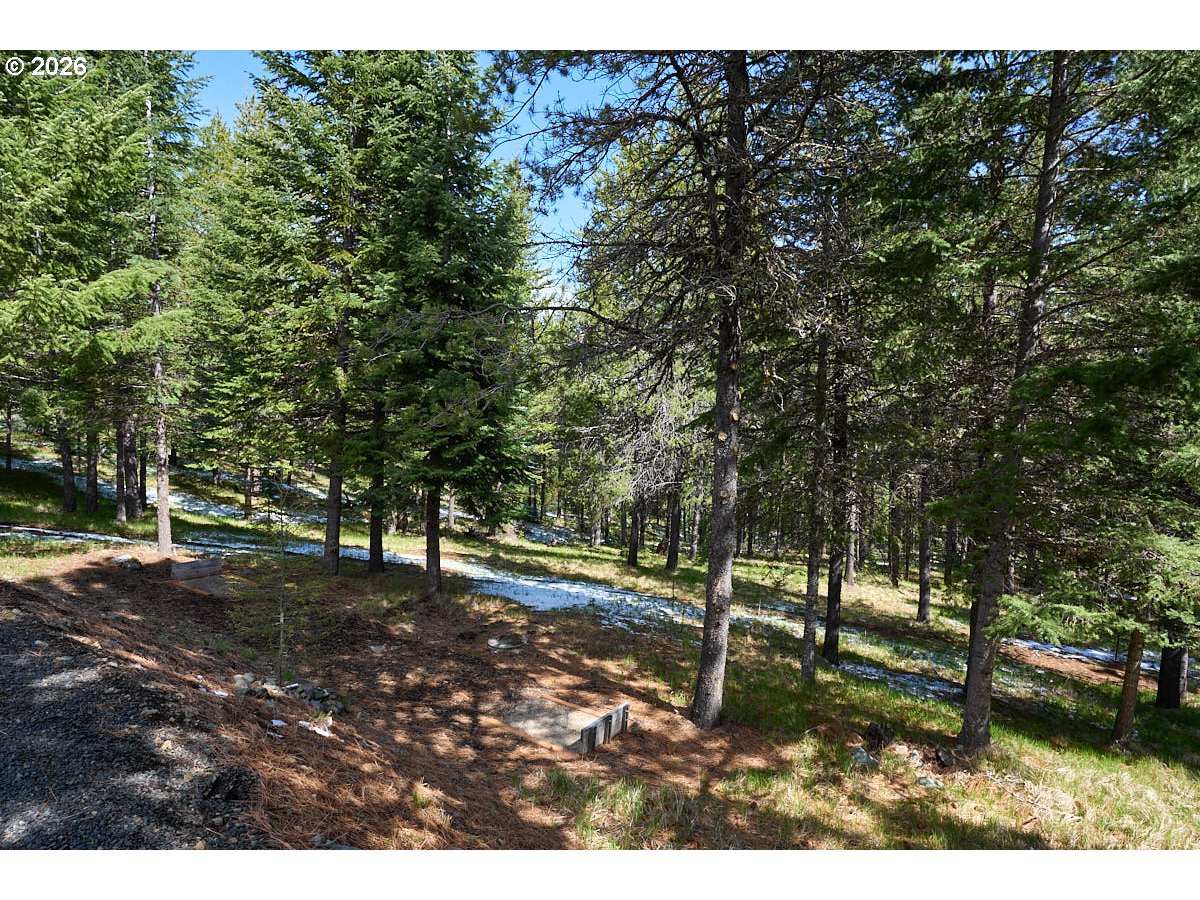 61718 Chief Joseph Loop Road Joseph, OR 97846 - Photo 29 of 38 a backyard of a house with lots of green space