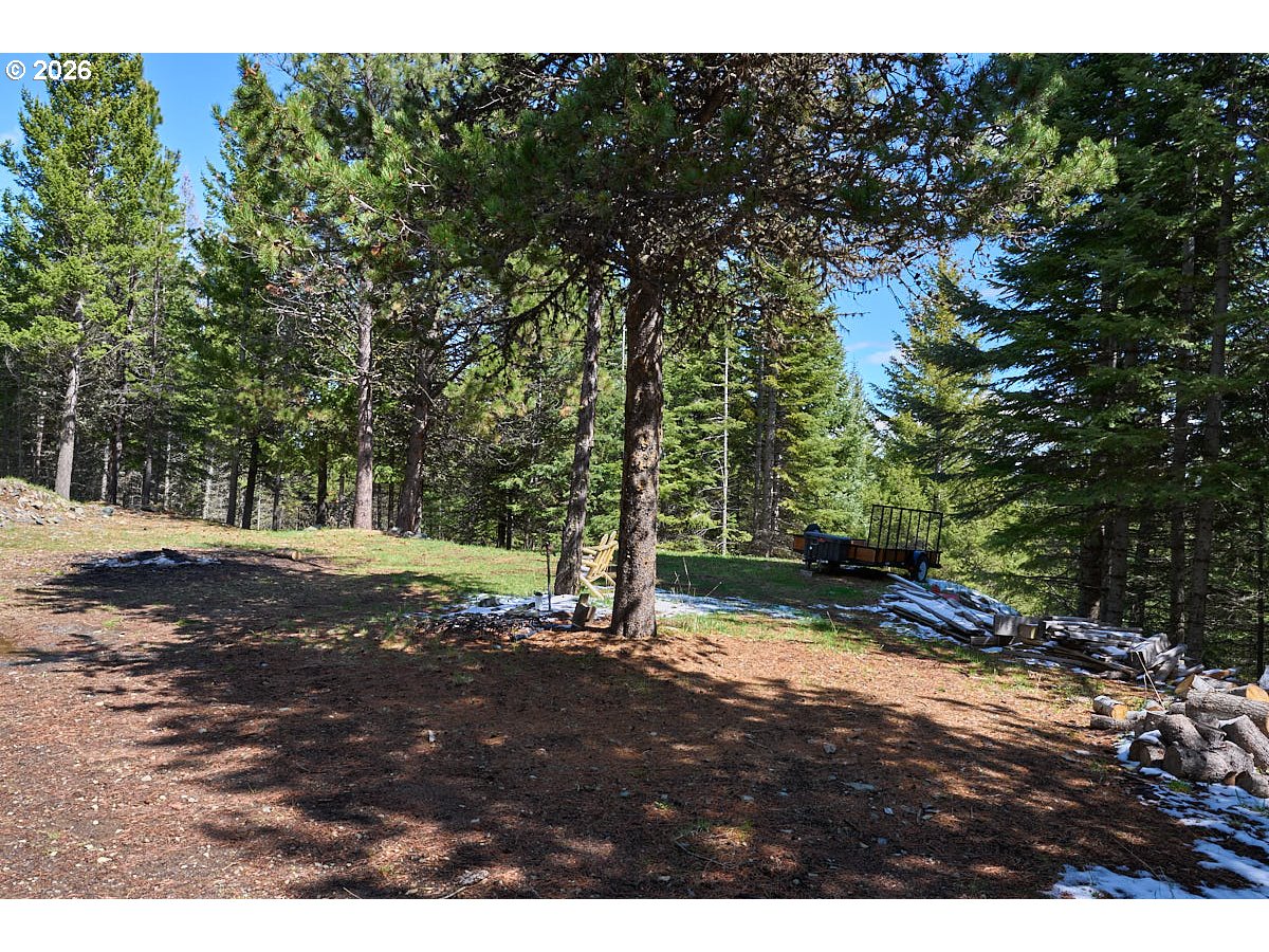 61718 Chief Joseph Loop Road Joseph, OR 97846 - Photo 33 of 38 a view of outdoor space with trees