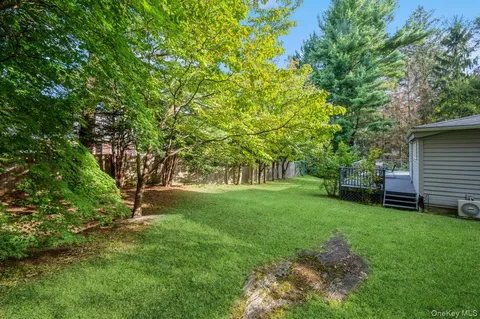 a view of a tree in a yard