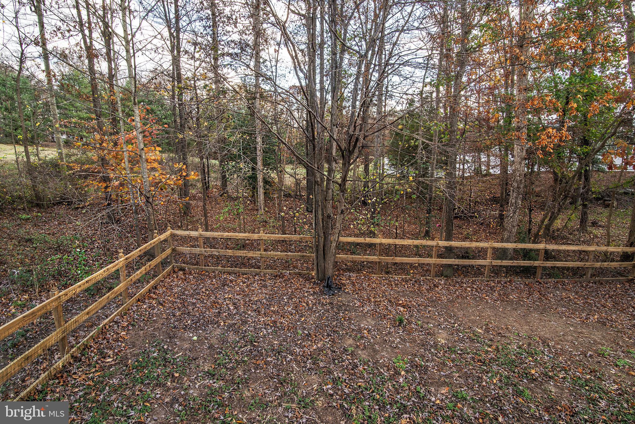 11113 Park Ridge Road Fredericksburg, VA 22408 - Photo 7 of 41 Gallery Image 7