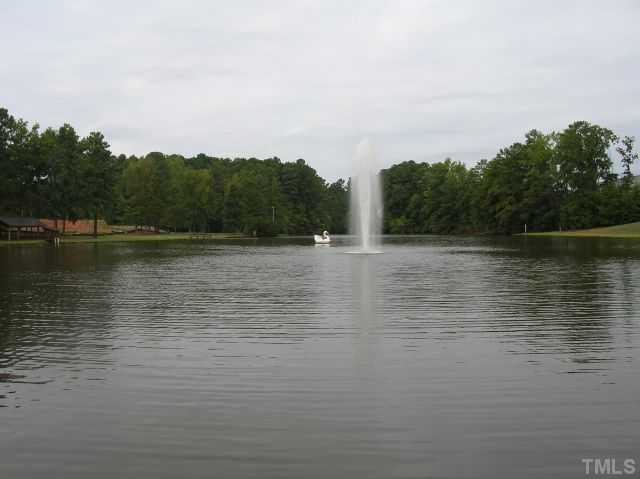 2431 Memory Ridge Drive Raleigh, NC 27606 - Photo 9 of 12 Lake
