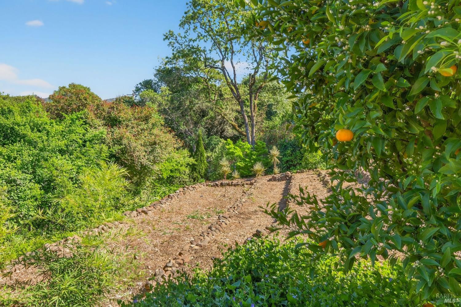 4460 Bennett Valley Road Santa Rosa, CA 95404 - Photo 39 of 47