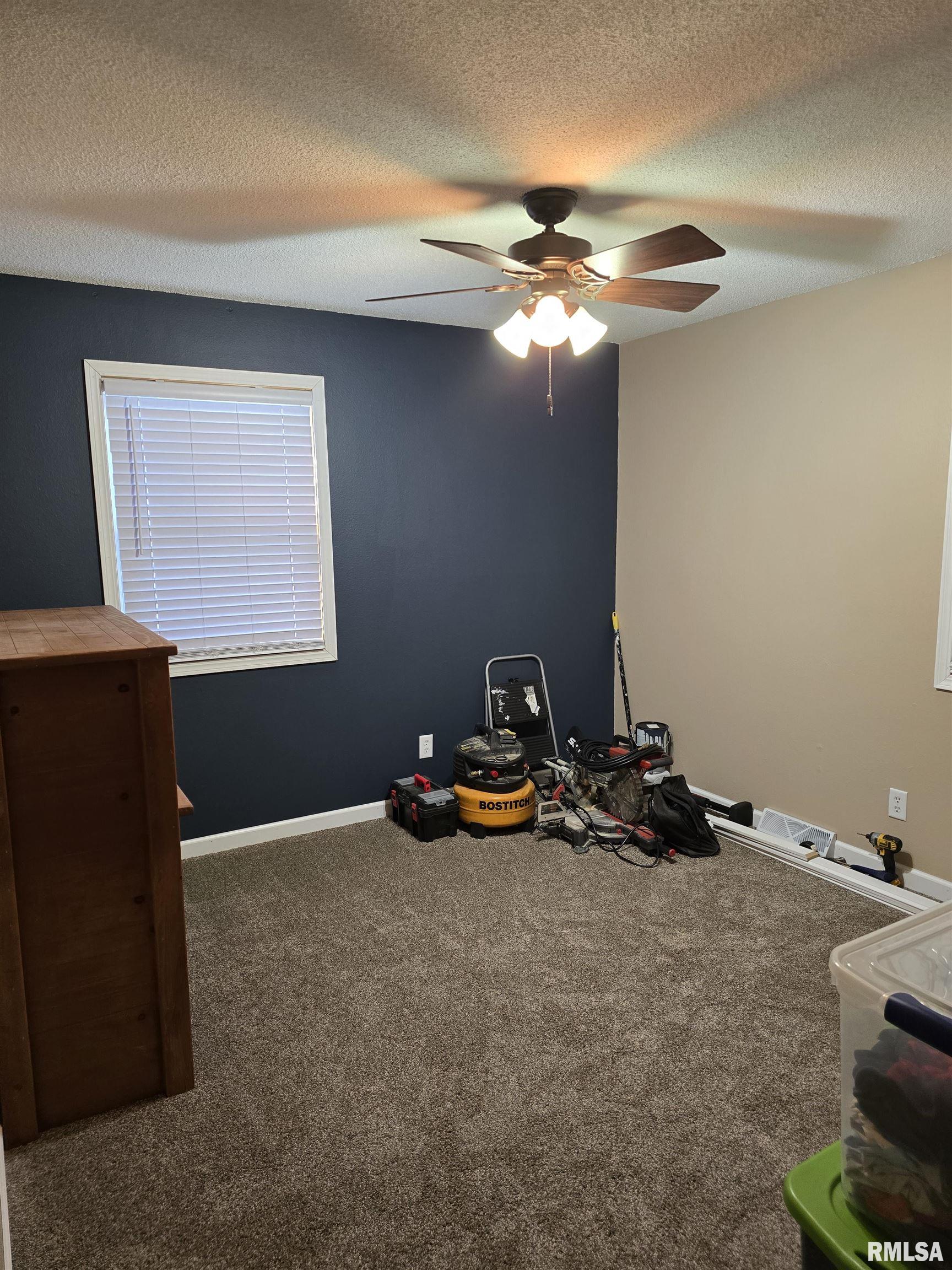 832 9th Street Colona, IL 61241 - Photo 19 of 35 Gallery Image 19