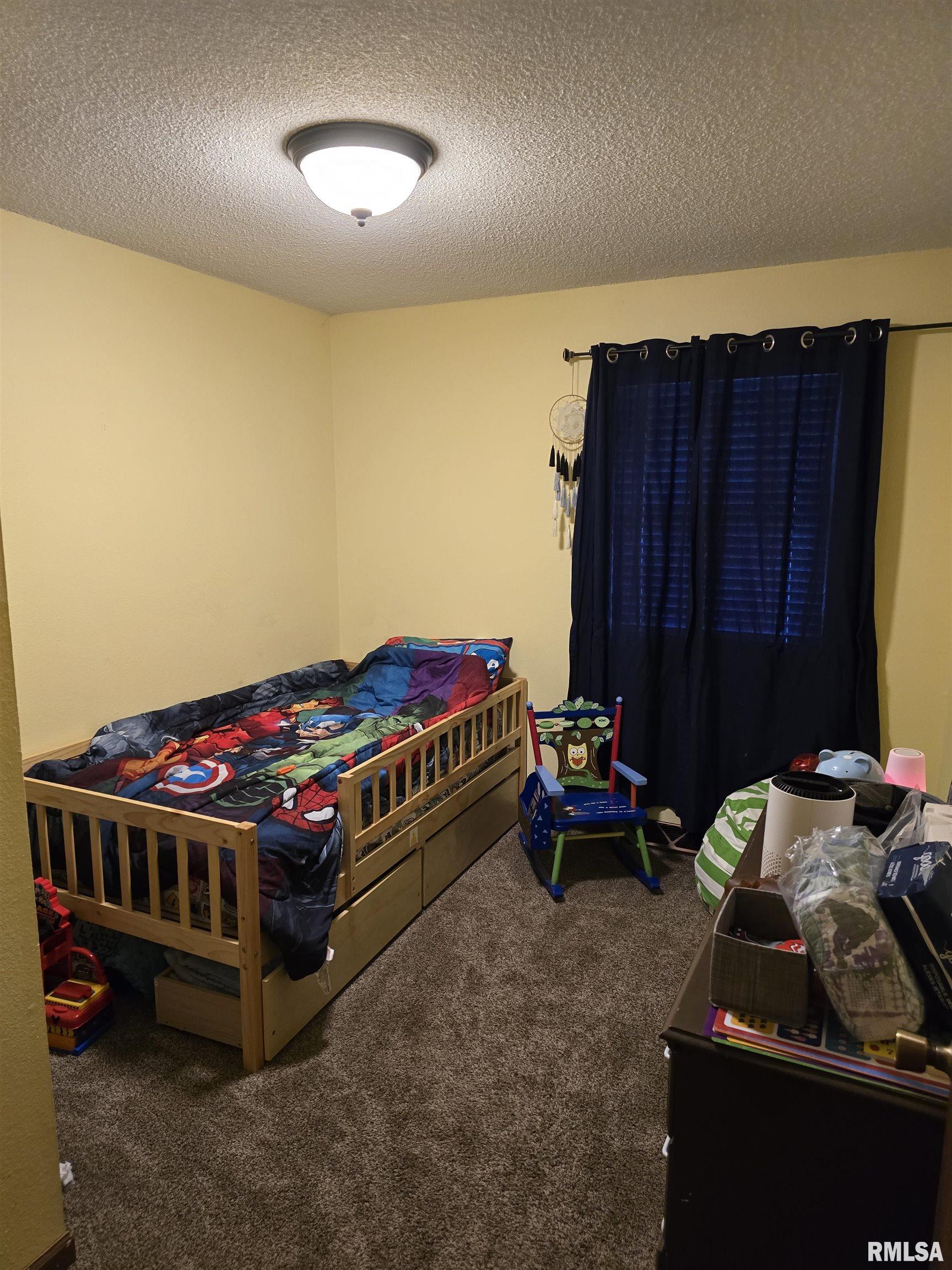 832 9th Street Colona, IL 61241 - Photo 22 of 35 Gallery Image 22