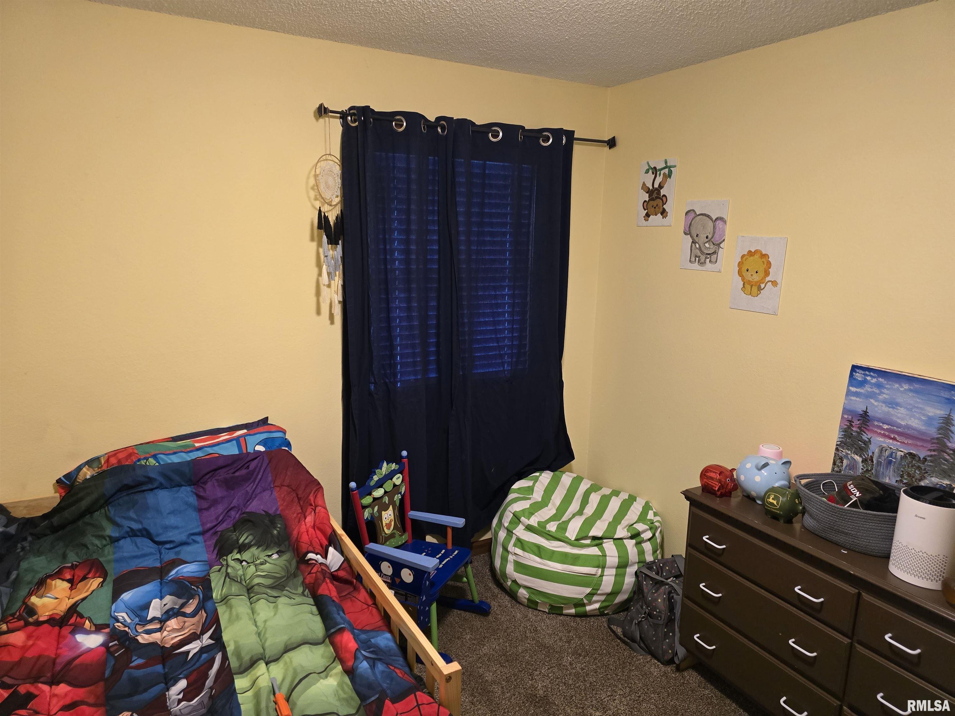 832 9th Street Colona, IL 61241 - Photo 23 of 35 Gallery Image 23