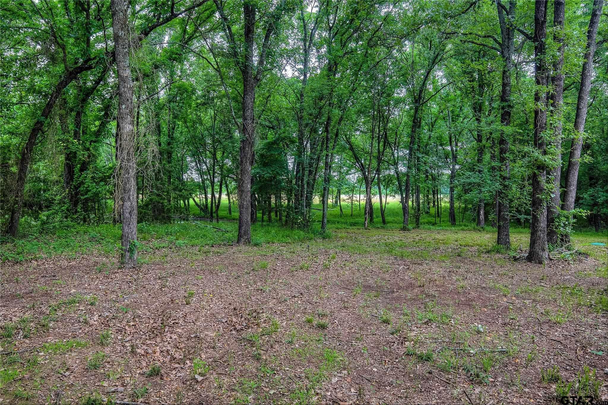 313 County Road 1442 Yantis, TX 75497 - Photo 19 of 46