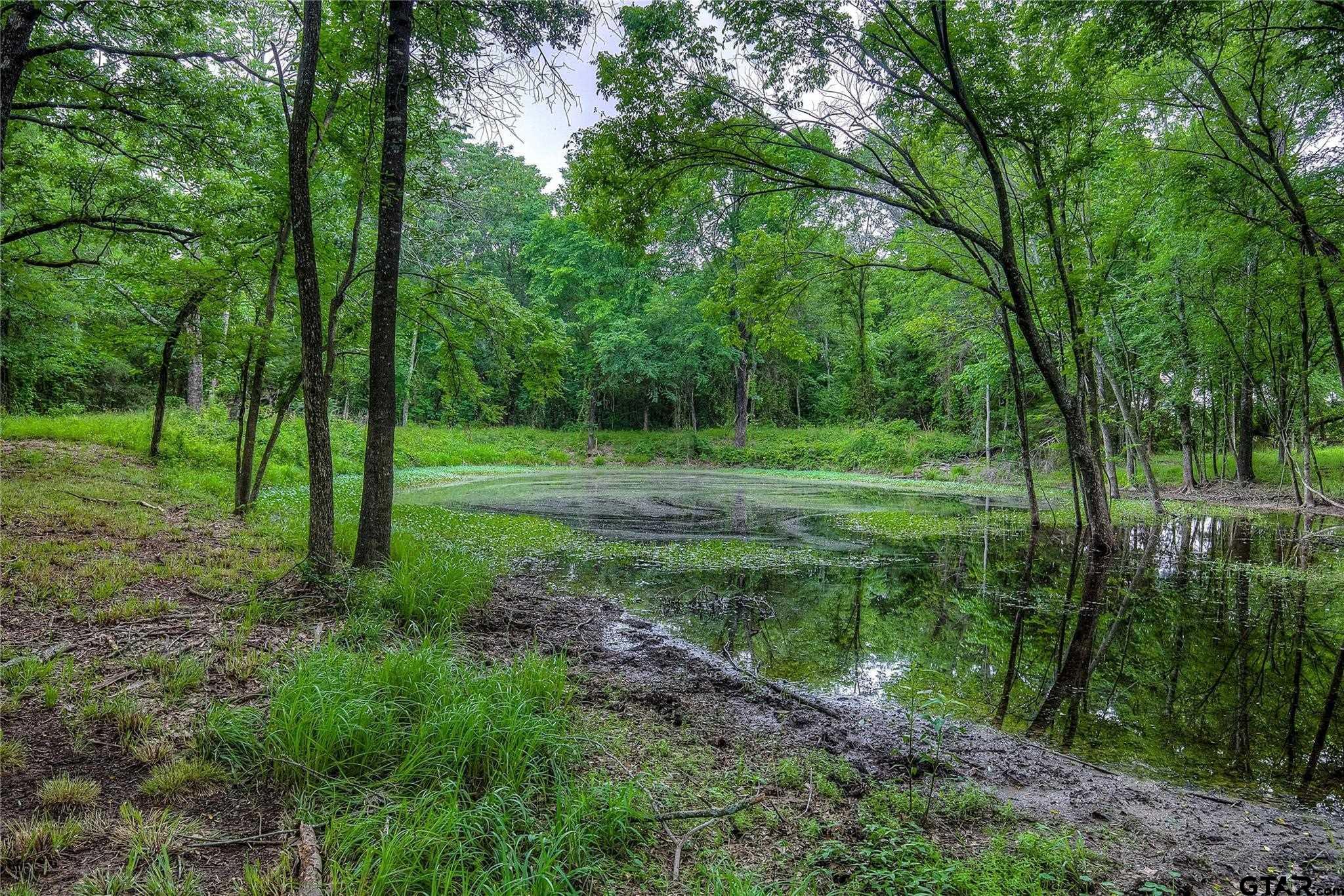 313 County Road 1442 Yantis, TX 75497 - Photo 20 of 46