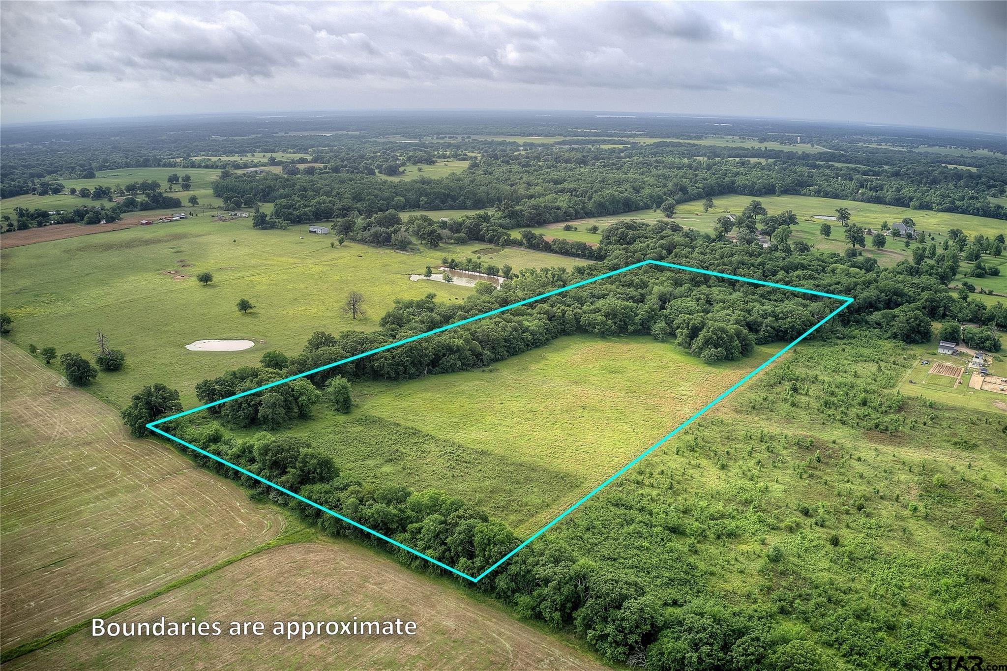 313 County Road 1442 Yantis, TX 75497 - Photo 2 of 46