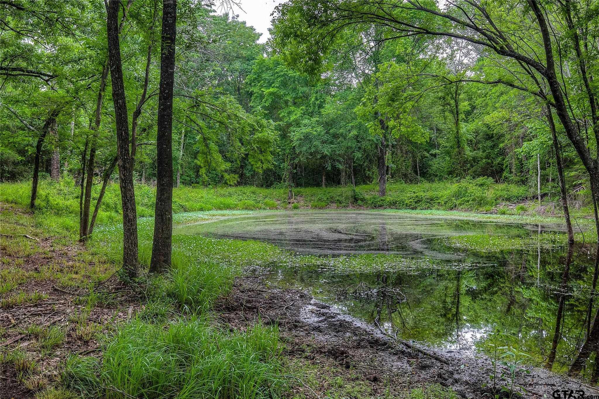 313 County Road 1442 Yantis, TX 75497 - Photo 21 of 46