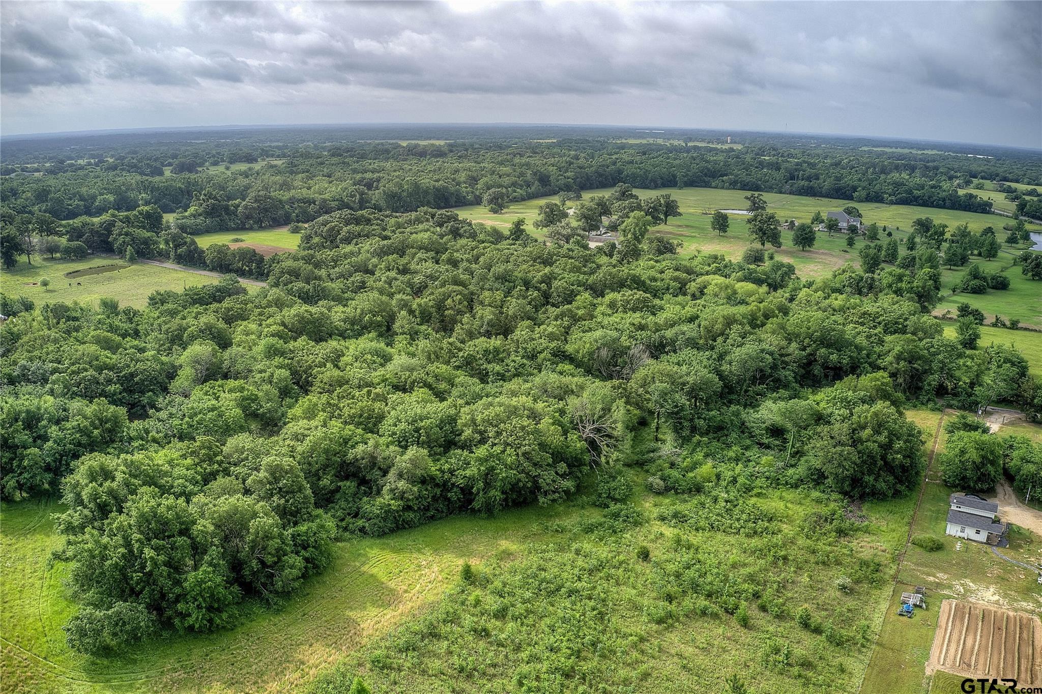 313 County Road 1442 Yantis, TX 75497 - Photo 24 of 46