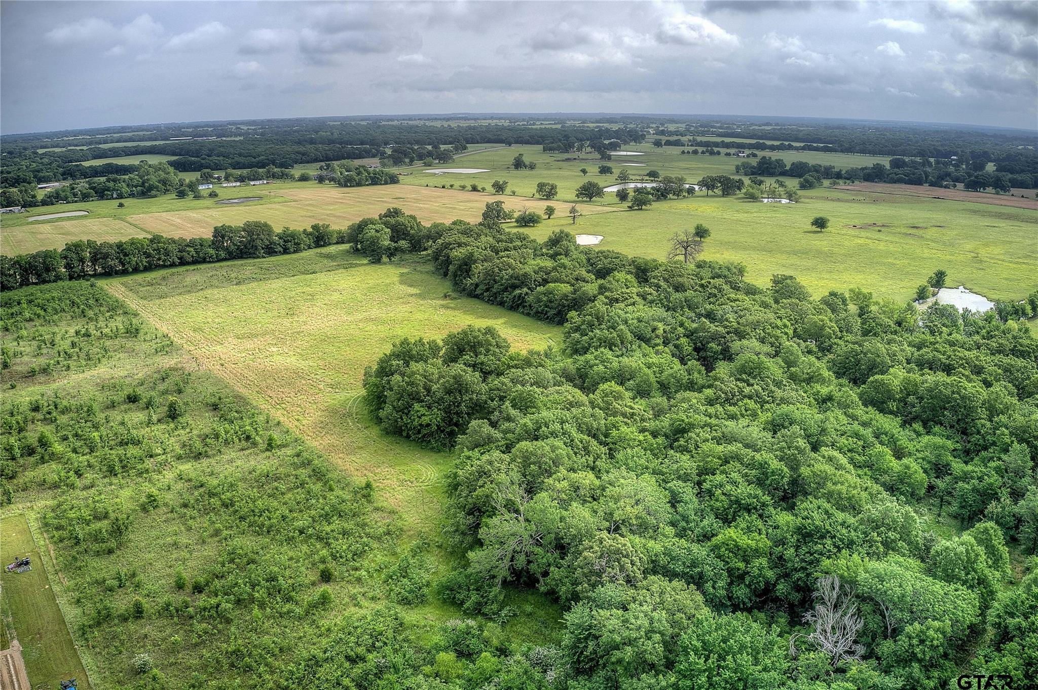 313 County Road 1442 Yantis, TX 75497 - Photo 28 of 46