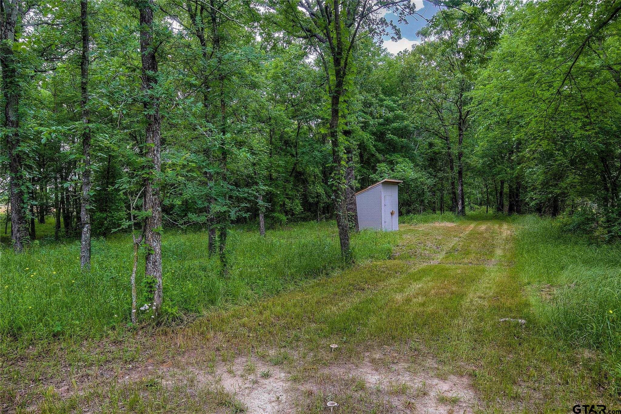 313 County Road 1442 Yantis, TX 75497 - Photo 29 of 46