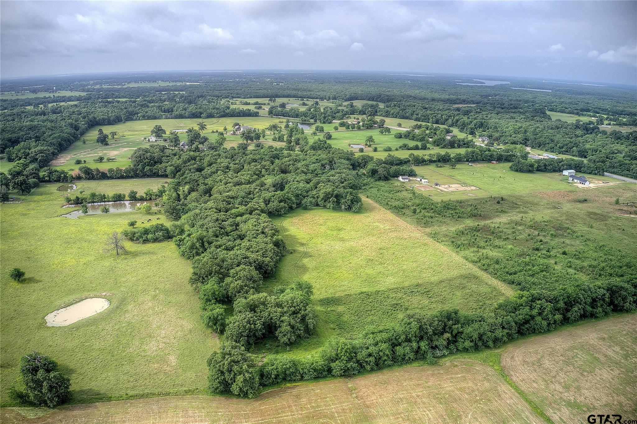 313 County Road 1442 Yantis, TX 75497 - Photo 31 of 46