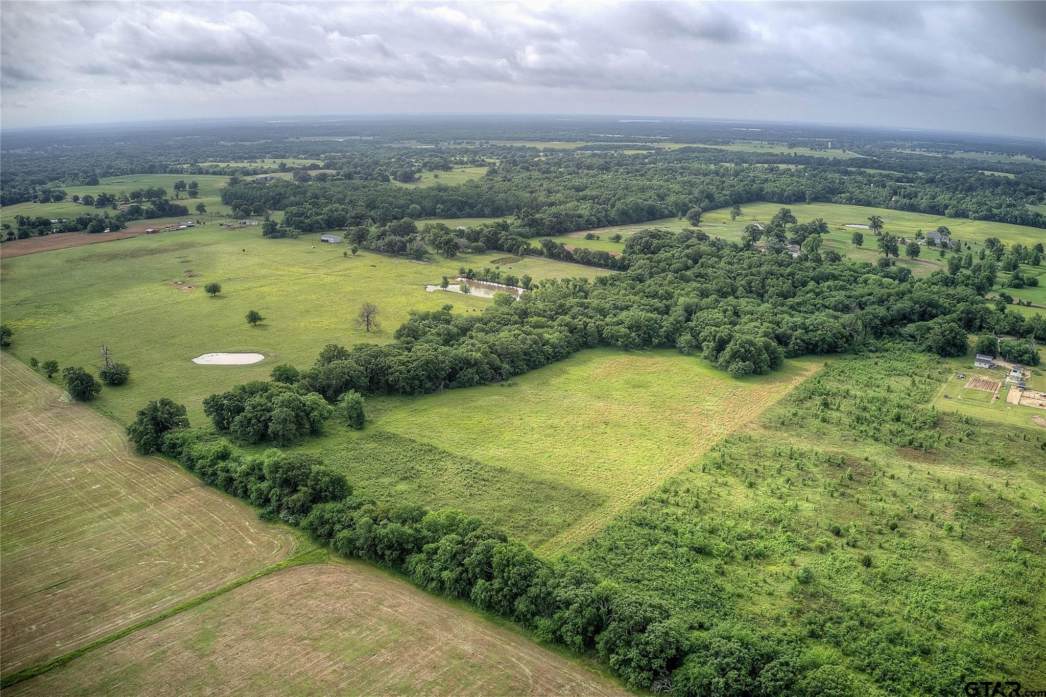 313 County Road 1442 Yantis, TX 75497 - Photo 33 of 46