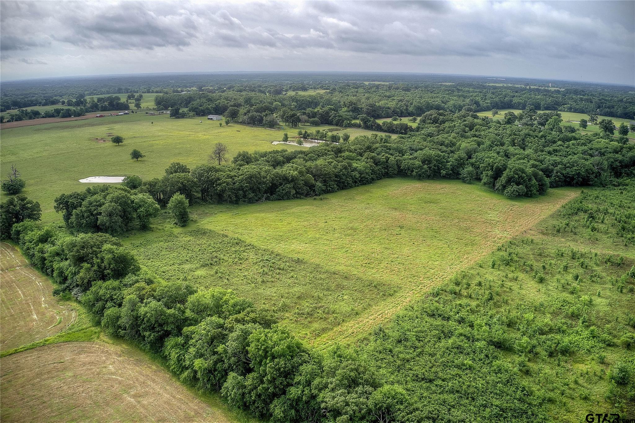313 County Road 1442 Yantis, TX 75497 - Photo 34 of 46