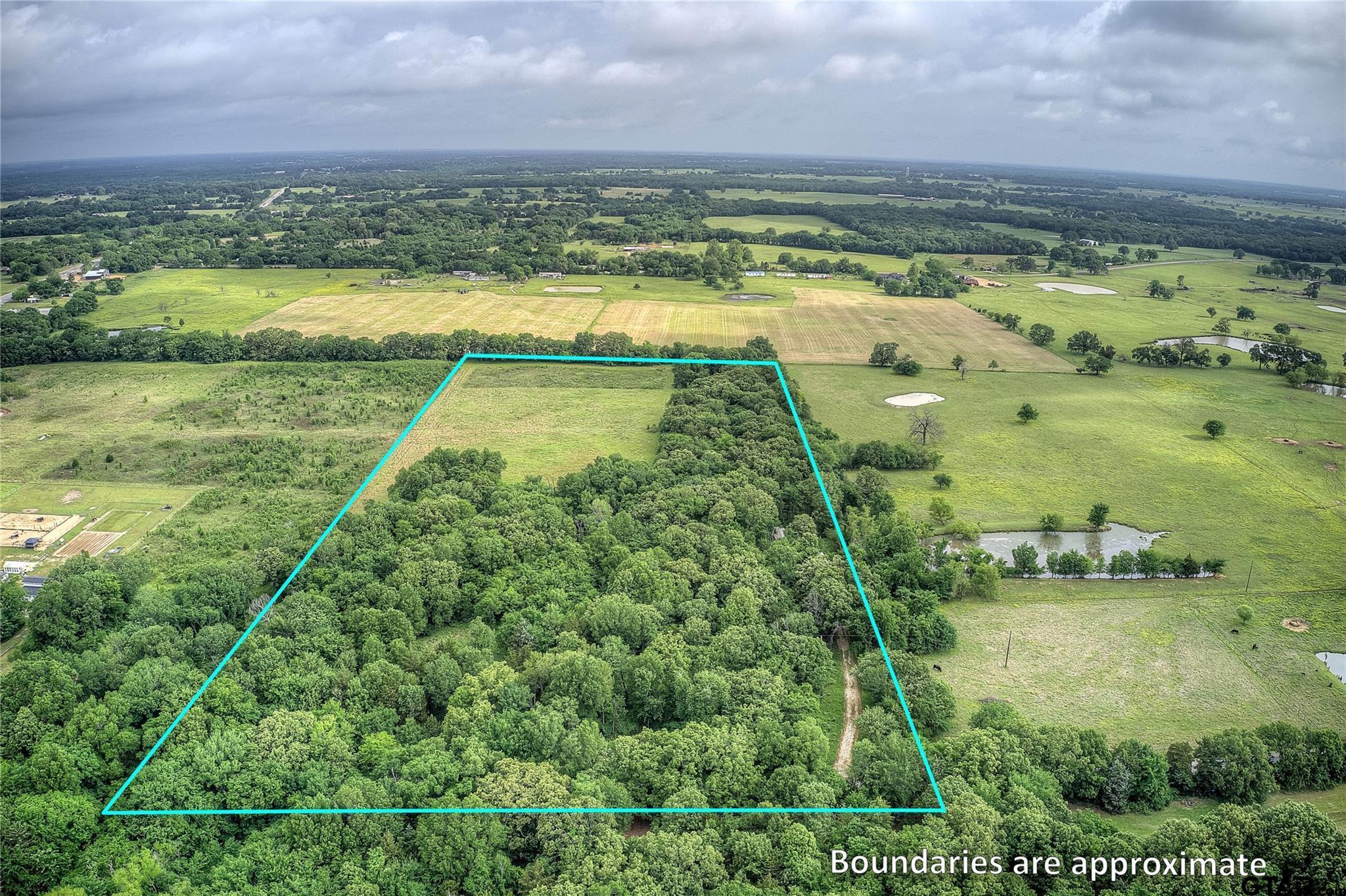 313 County Road 1442 Yantis, TX 75497 - Photo 36 of 46