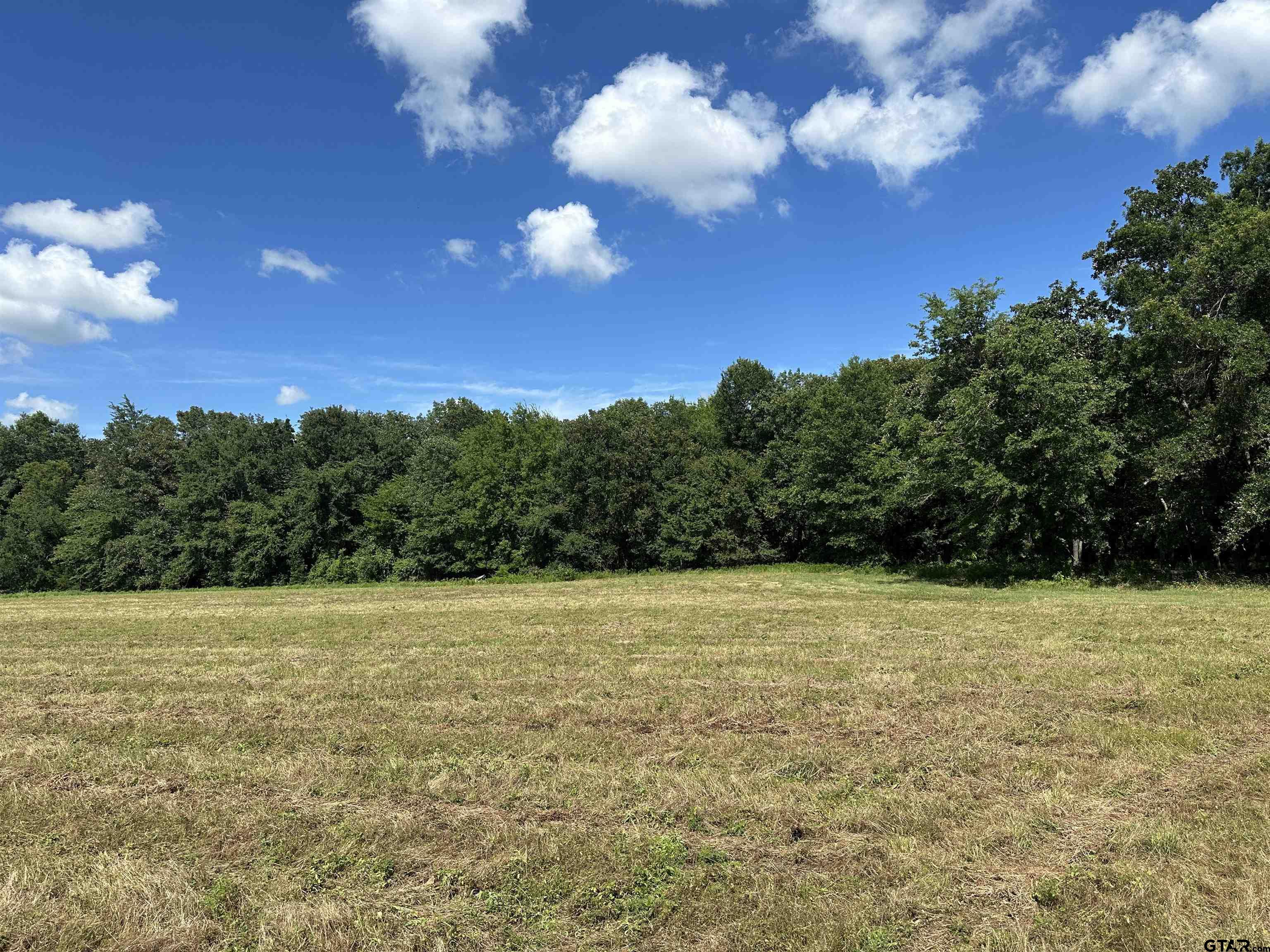 313 County Road 1442 Yantis, TX 75497 - Photo 39 of 46