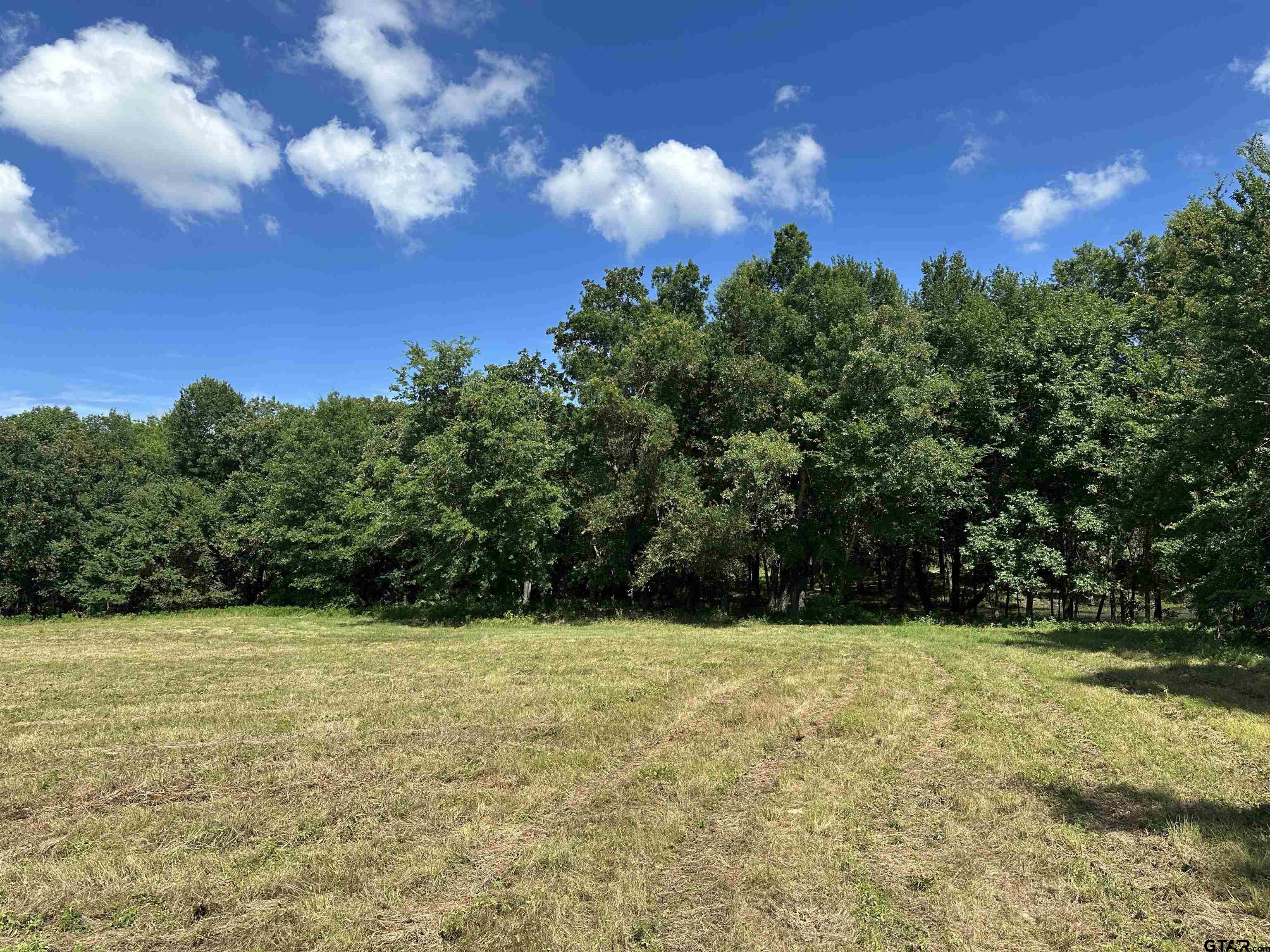 313 County Road 1442 Yantis, TX 75497 - Photo 40 of 46