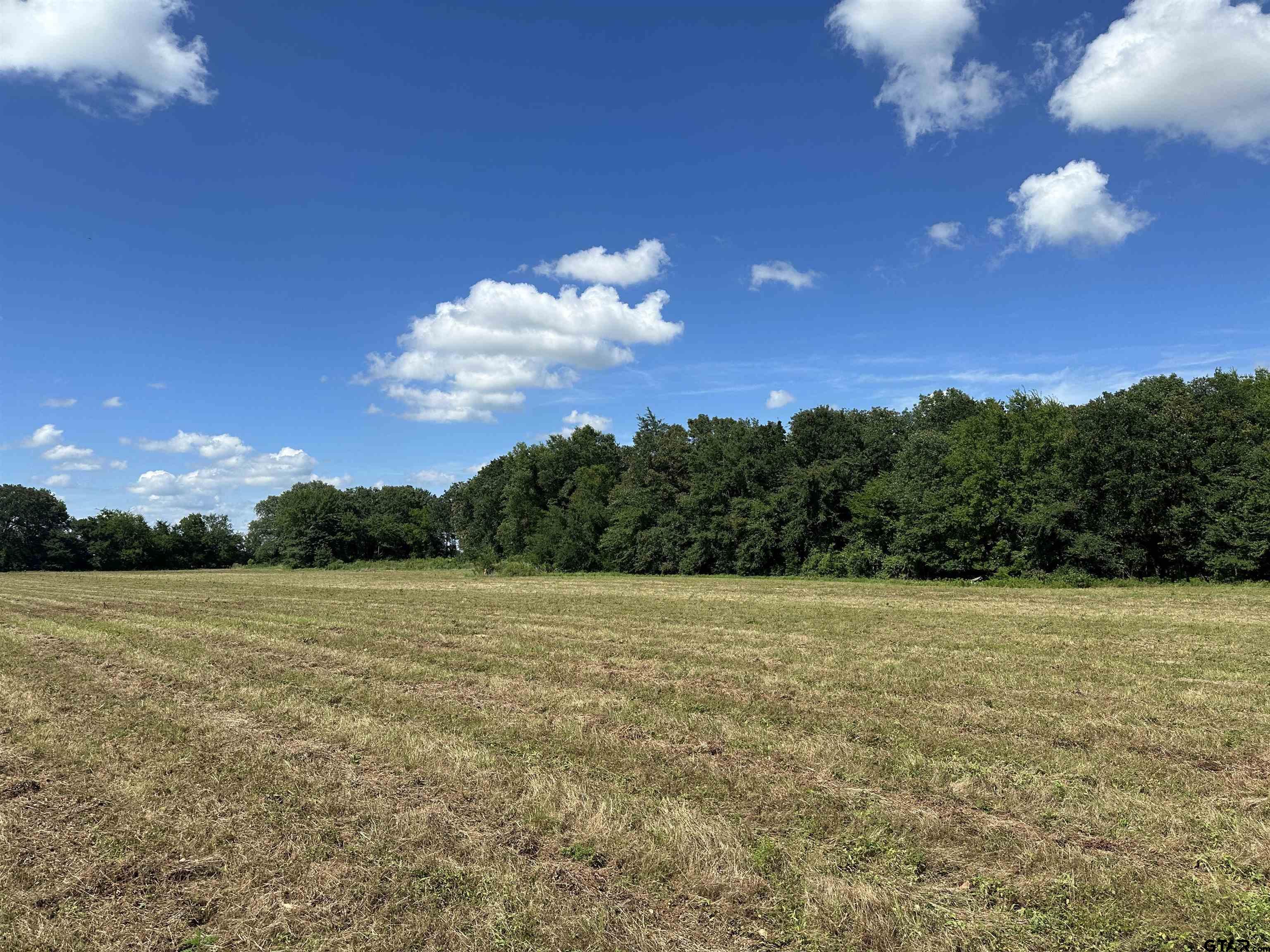 313 County Road 1442 Yantis, TX 75497 - Photo 41 of 46