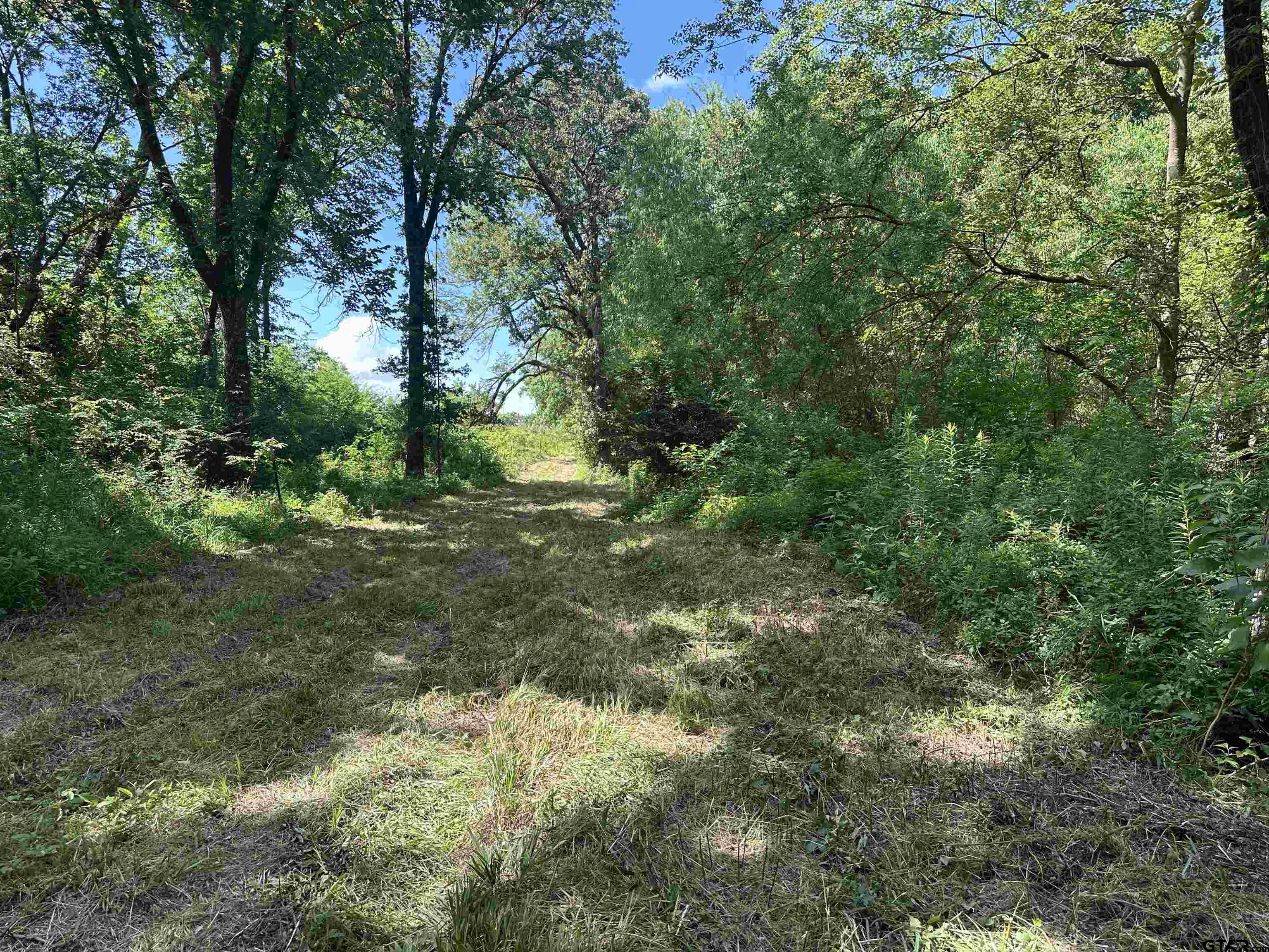 313 County Road 1442 Yantis, TX 75497 - Photo 42 of 46