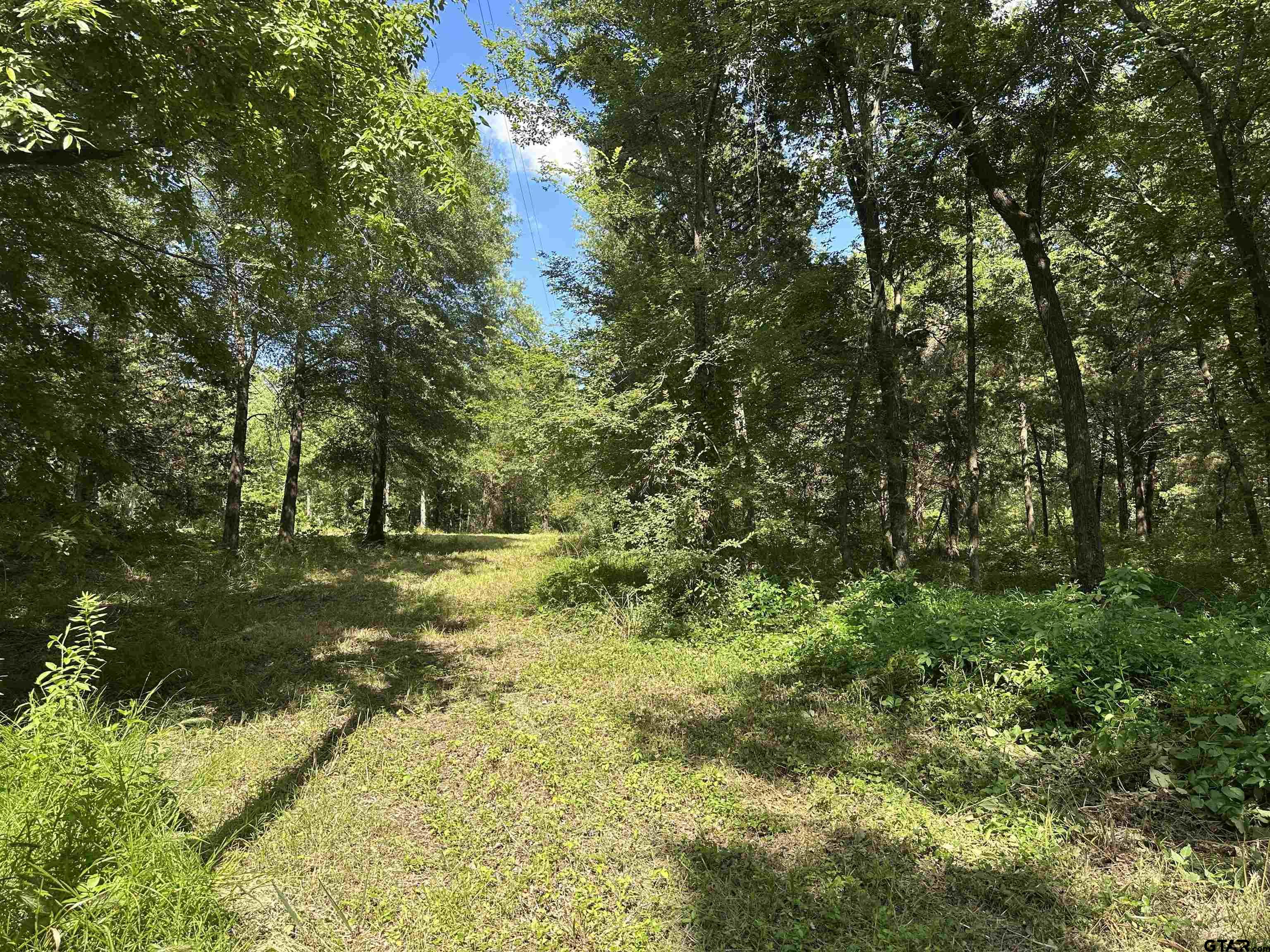 313 County Road 1442 Yantis, TX 75497 - Photo 43 of 46