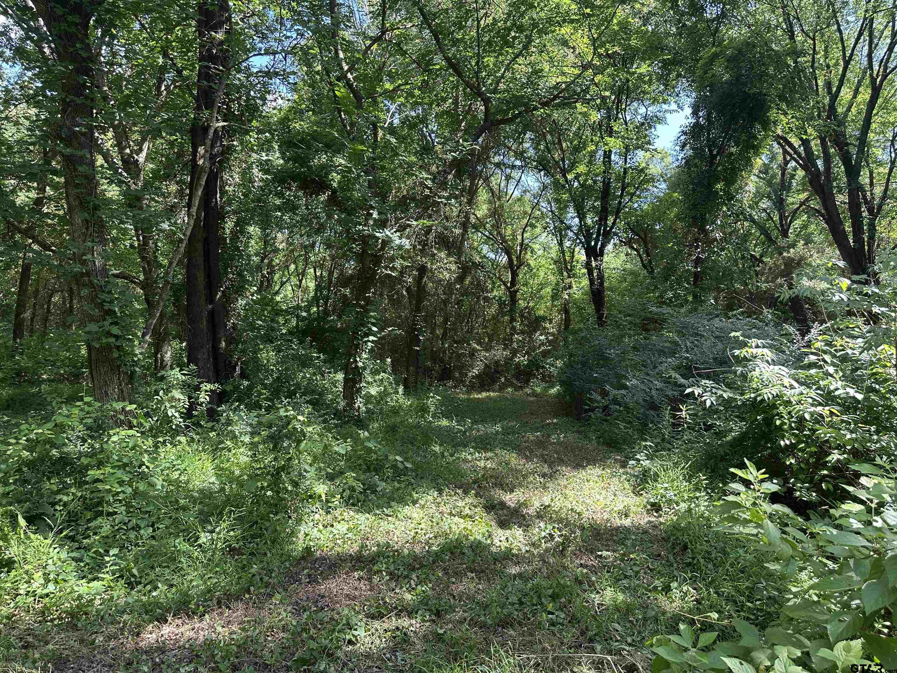 313 County Road 1442 Yantis, TX 75497 - Photo 44 of 46