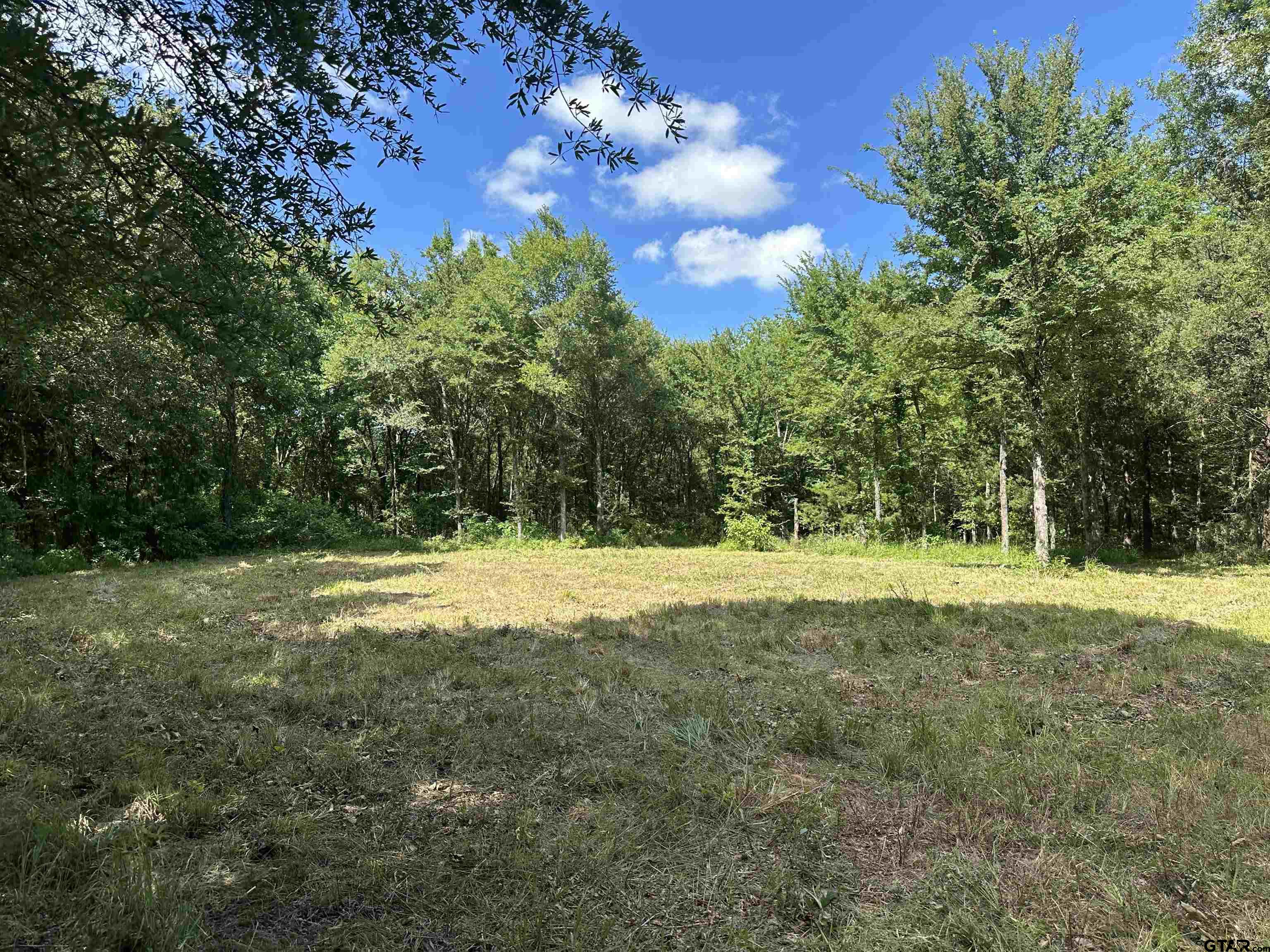 313 County Road 1442 Yantis, TX 75497 - Photo 45 of 46