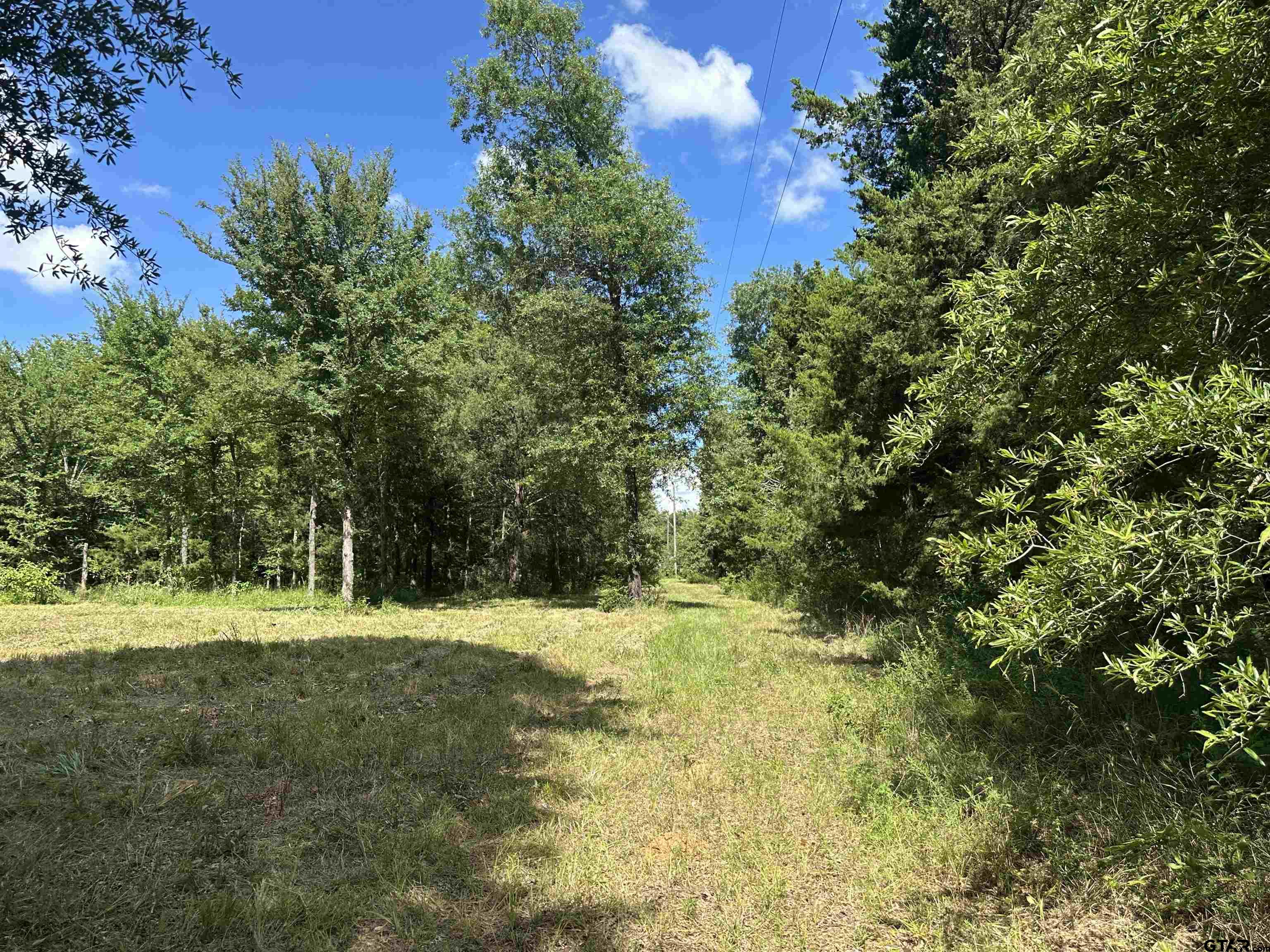 313 County Road 1442 Yantis, TX 75497 - Photo 46 of 46