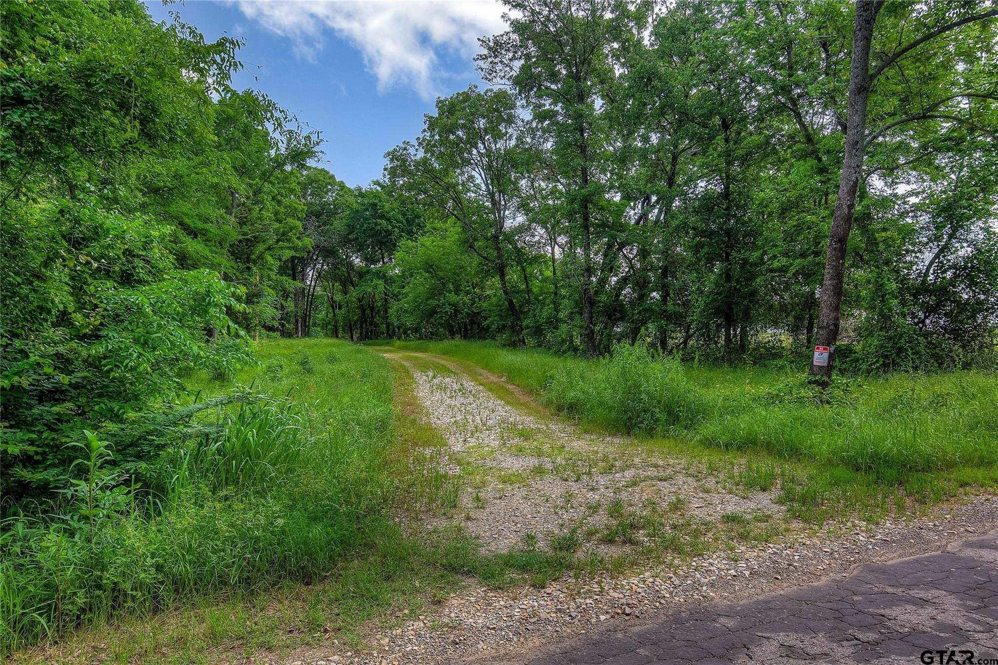 313 County Road 1442 Yantis, TX 75497 - Photo 5 of 46