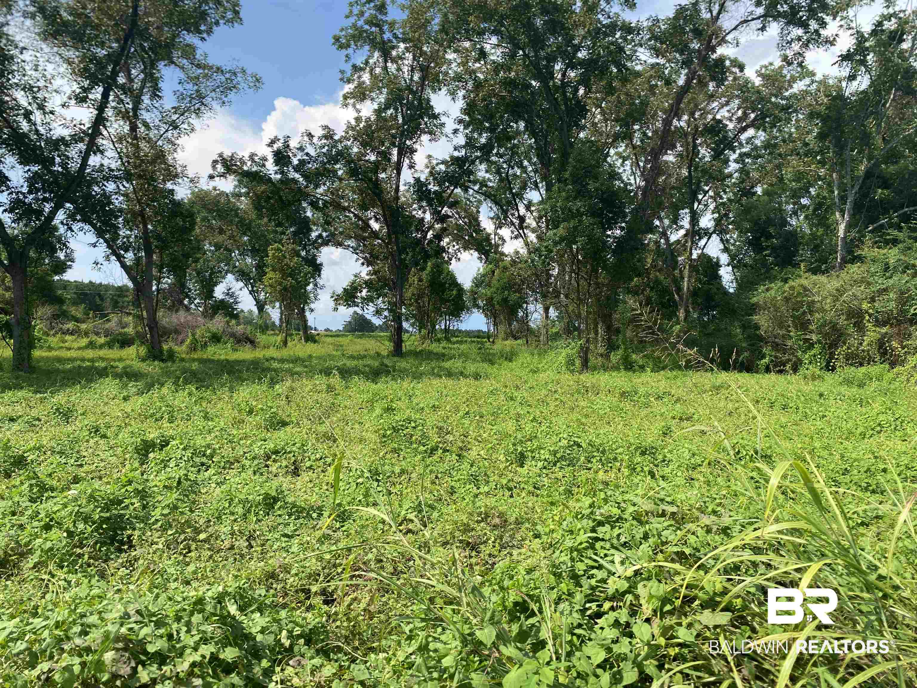 16827 Engel Lane Foley, AL 36535 - Photo 6 of 10 View from Ray Gardner Ln