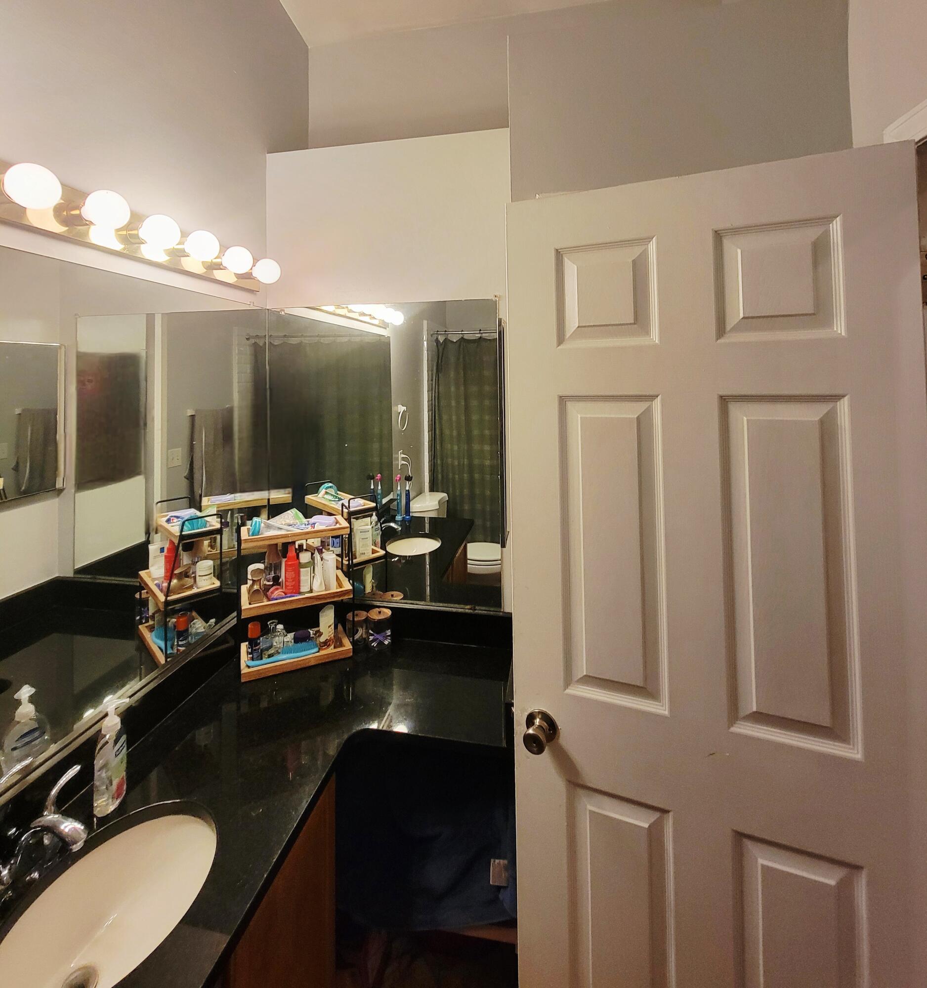 22363 Peach Tree Novi, MI 48375 - Photo 9 of 27 bath