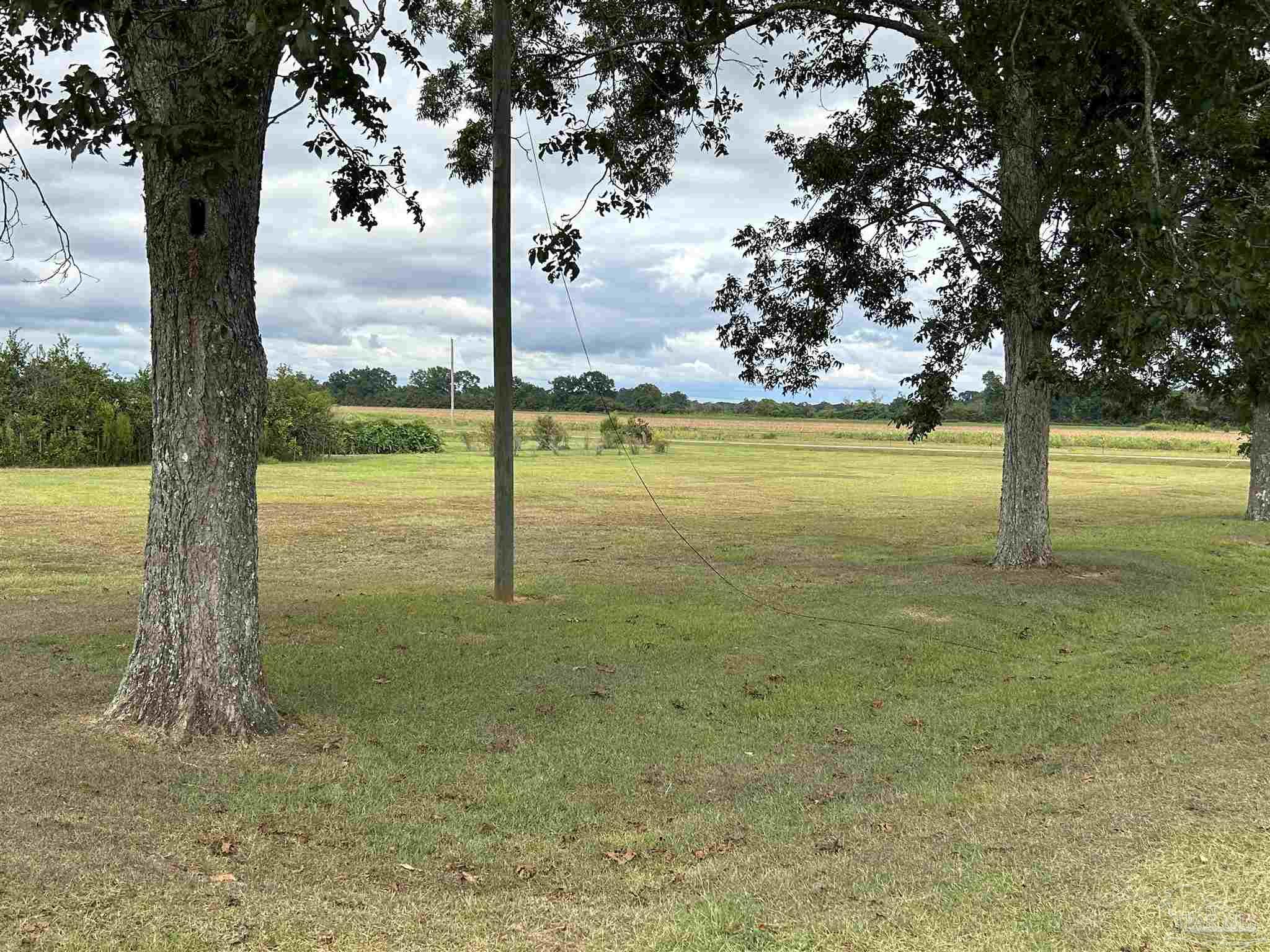 2374 Harvest Road Jay, FL 32565 - Photo 5 of 25 MATURE TREES