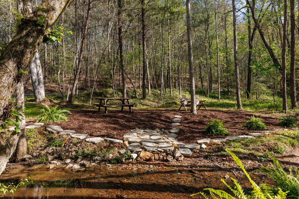 342 Hunter Ridge Murphy, NC 28906 - Photo 31 of 81 Creekside