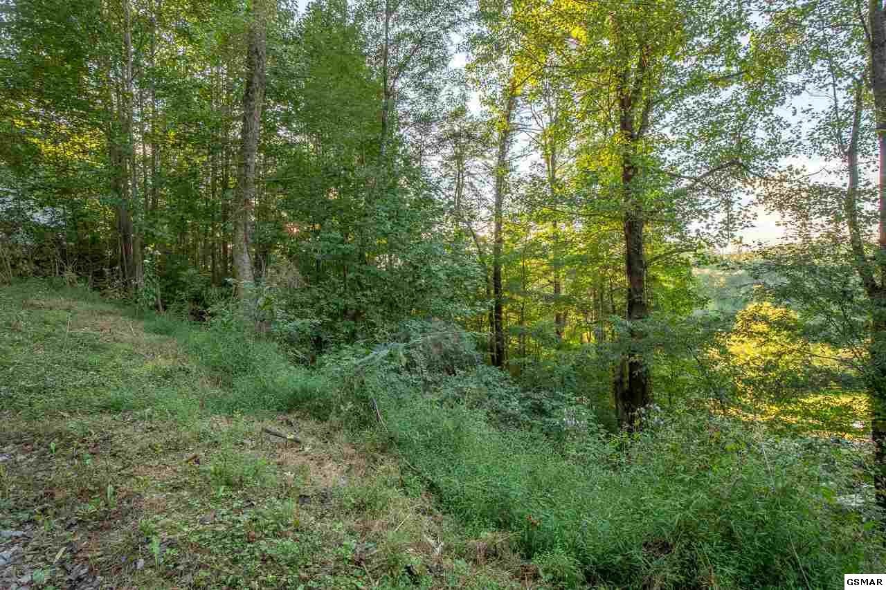 2219222 Goose Gap Road Sevierville, TN 37876 - Photo 12 of 12