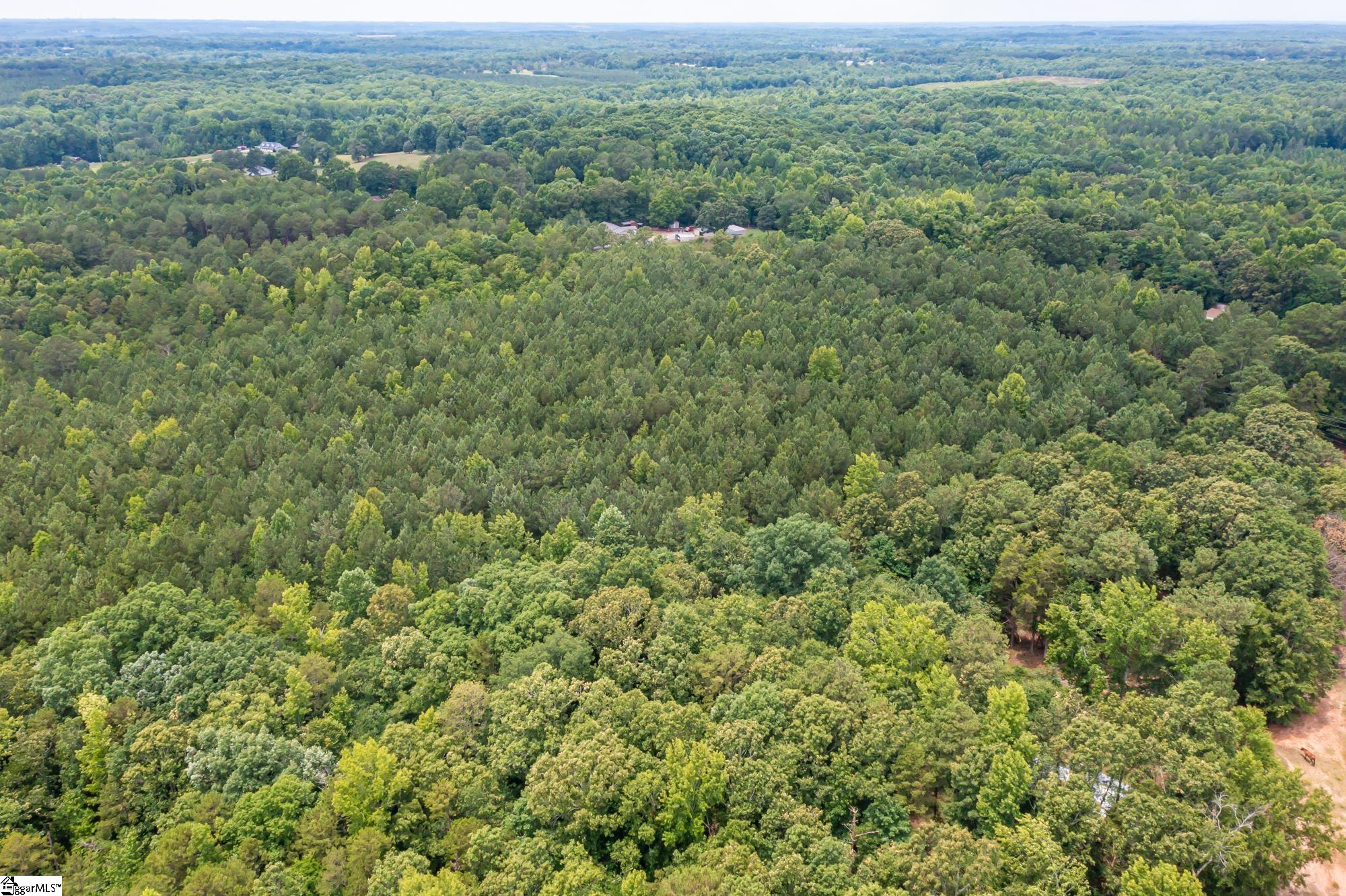 0 Southern Road Belton, SC 29627 - Photo 10 of 14