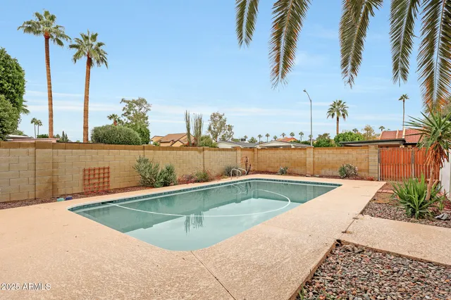 a view of a swimming pool with a yard and palm trees