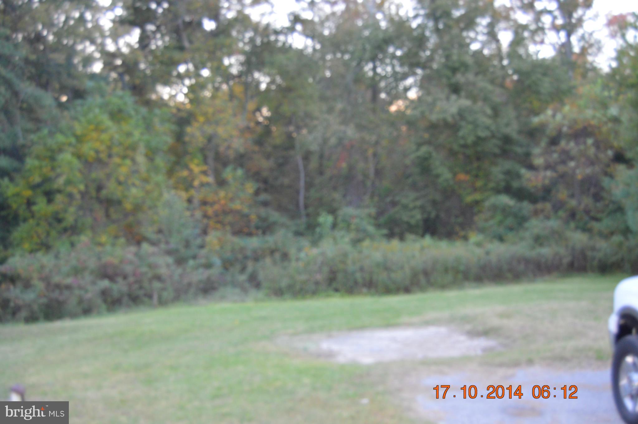 8184 Telegraph Road Severn, MD 21144 - Photo 6 of 22 large level rear yard