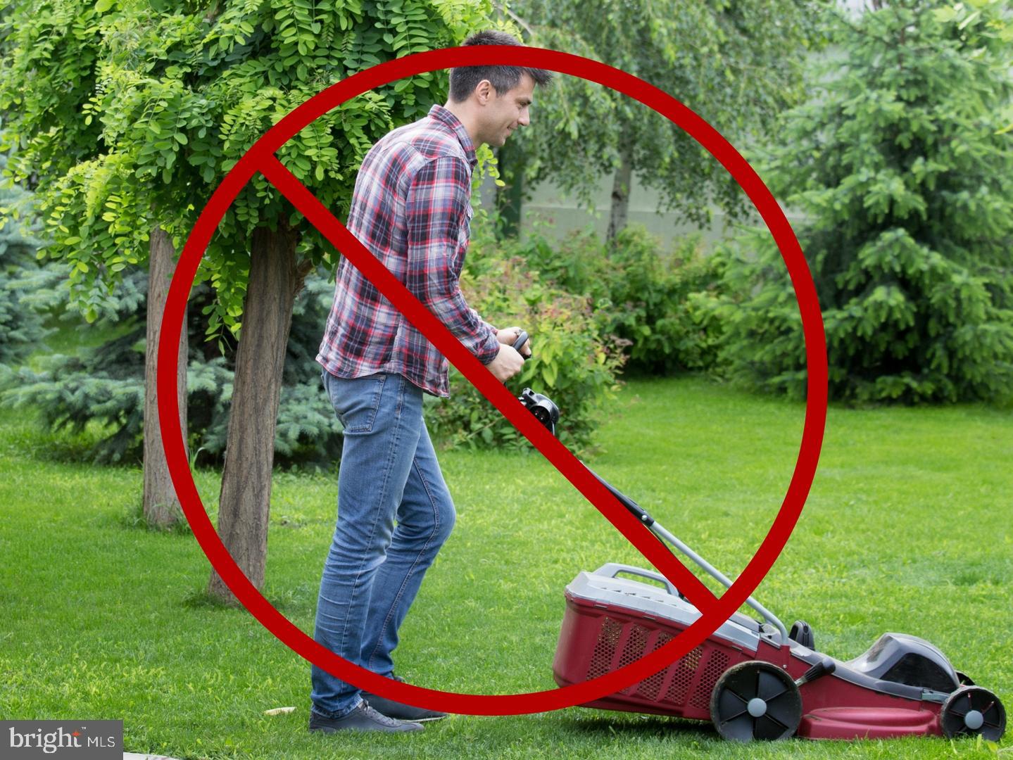 19812 Rothschild Court Ashburn, VA 20147 - Photo 101 of 107