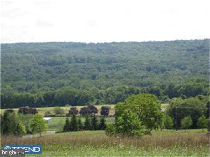 2 D Shull Farm Road Erwinna, PA 18920 - Photo 5 of 12 View