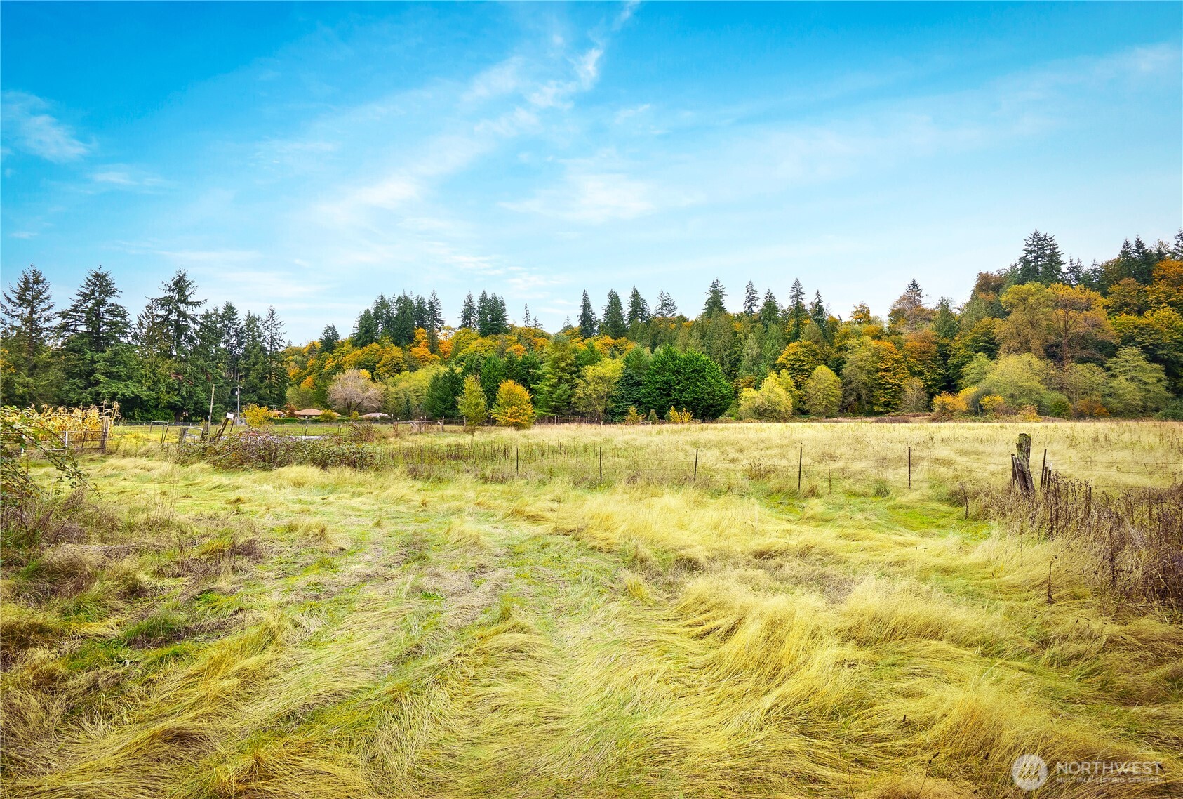 921 Russell Road Snohomish, WA 98290 - Photo 11 of 15 a view of a yard with an outdoor space and seating area