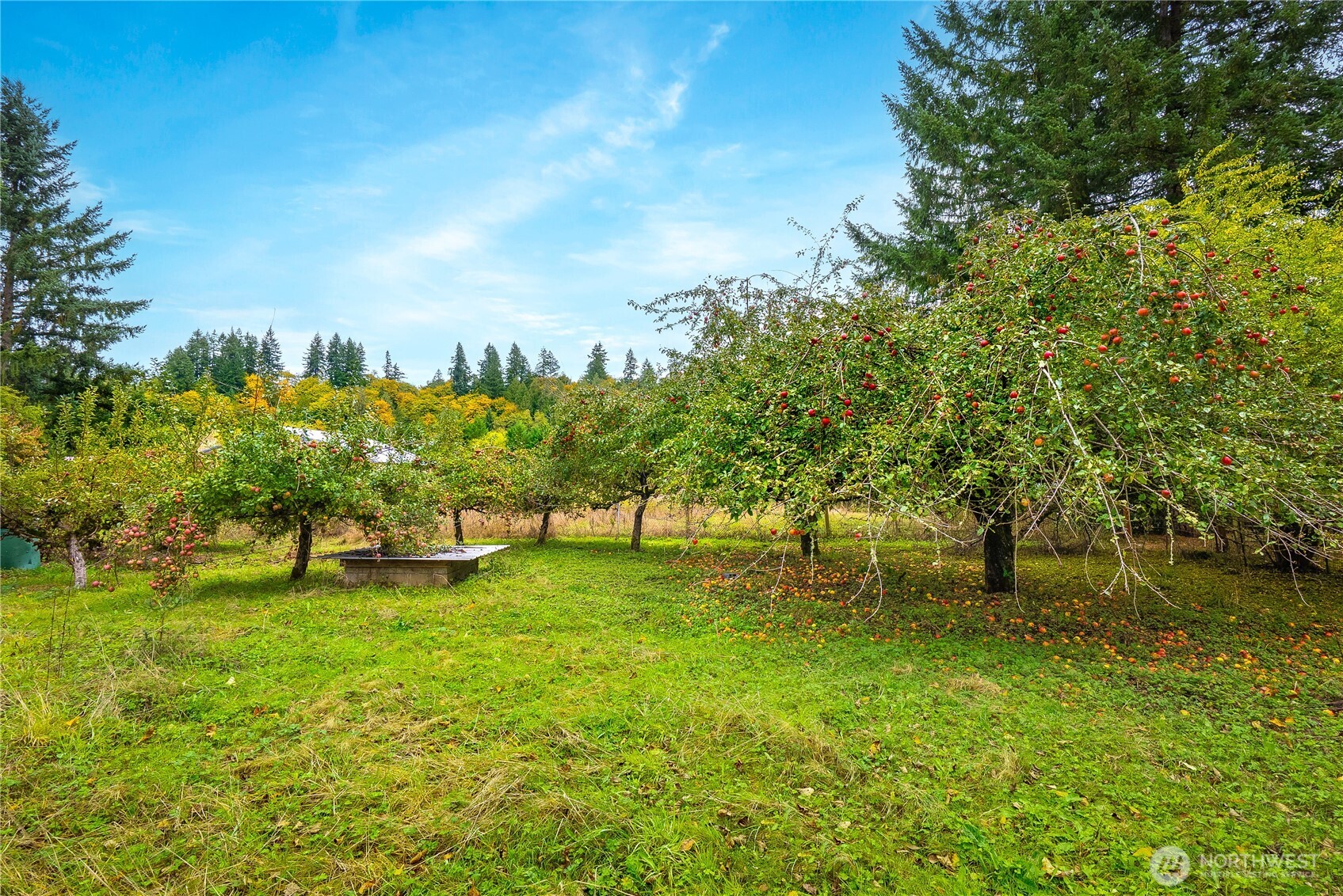 921 Russell Road Snohomish, WA 98290 - Photo 9 of 15 a backyard of a house with lots of green space and garden