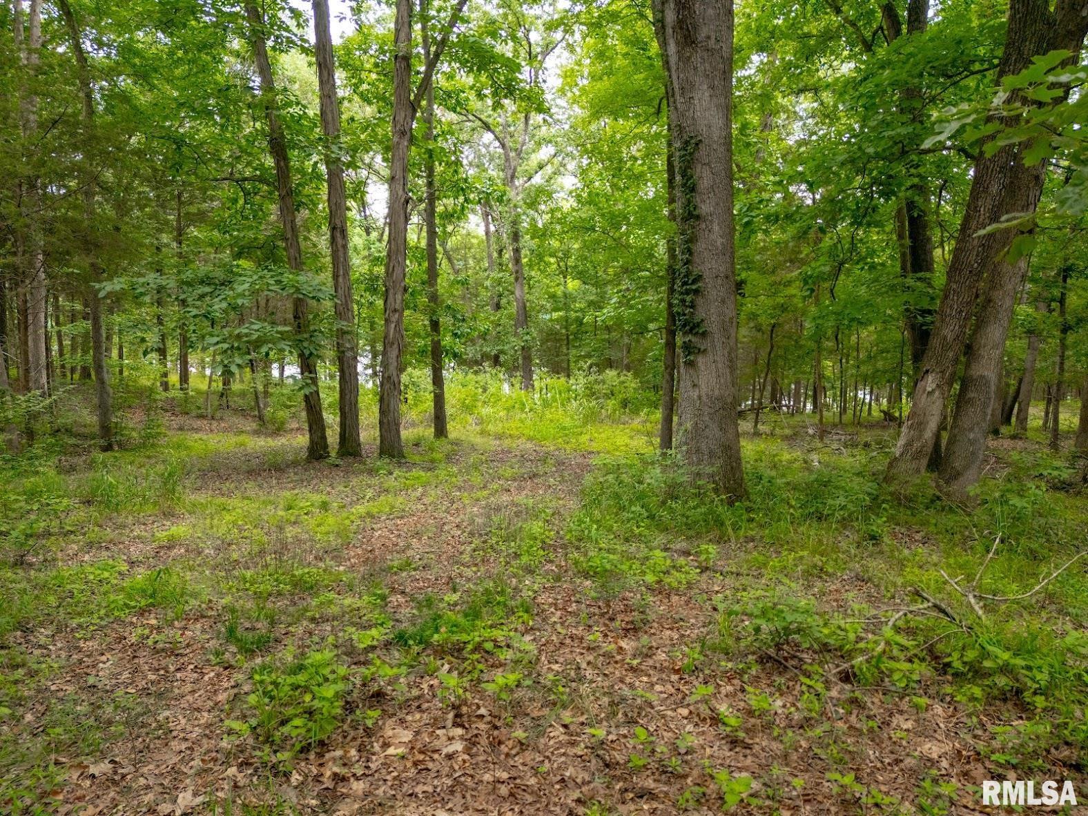 Lot 164 Parrish Ridge Lane Goreville, IL 62939 - Photo 6 of 17