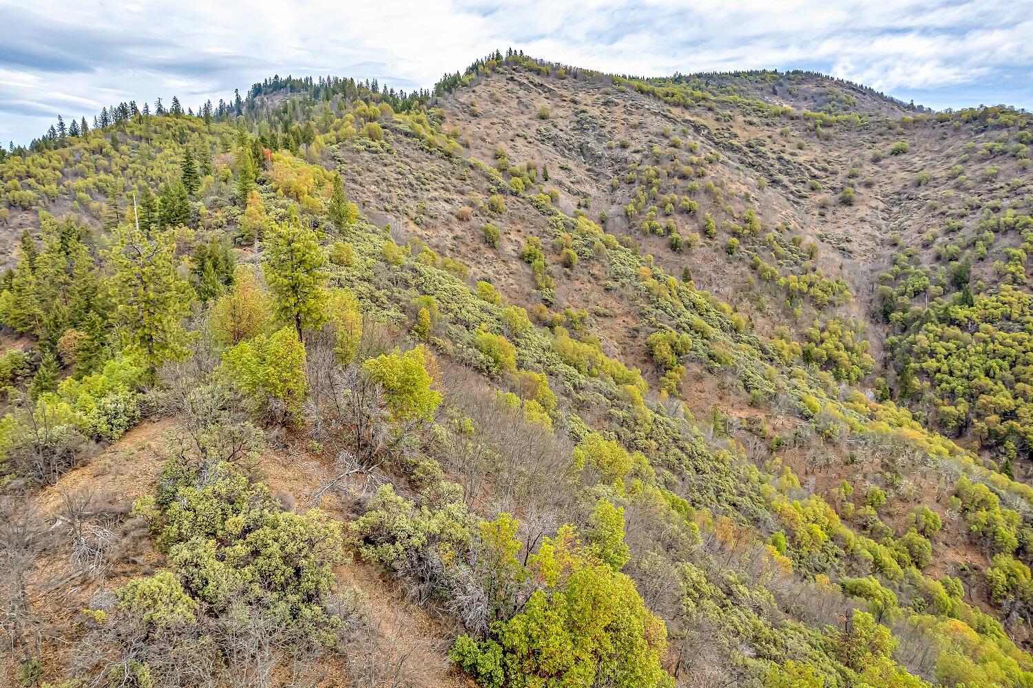 0 Sykes Creek Road Rogue River, OR 97537 - Photo 9 of 15