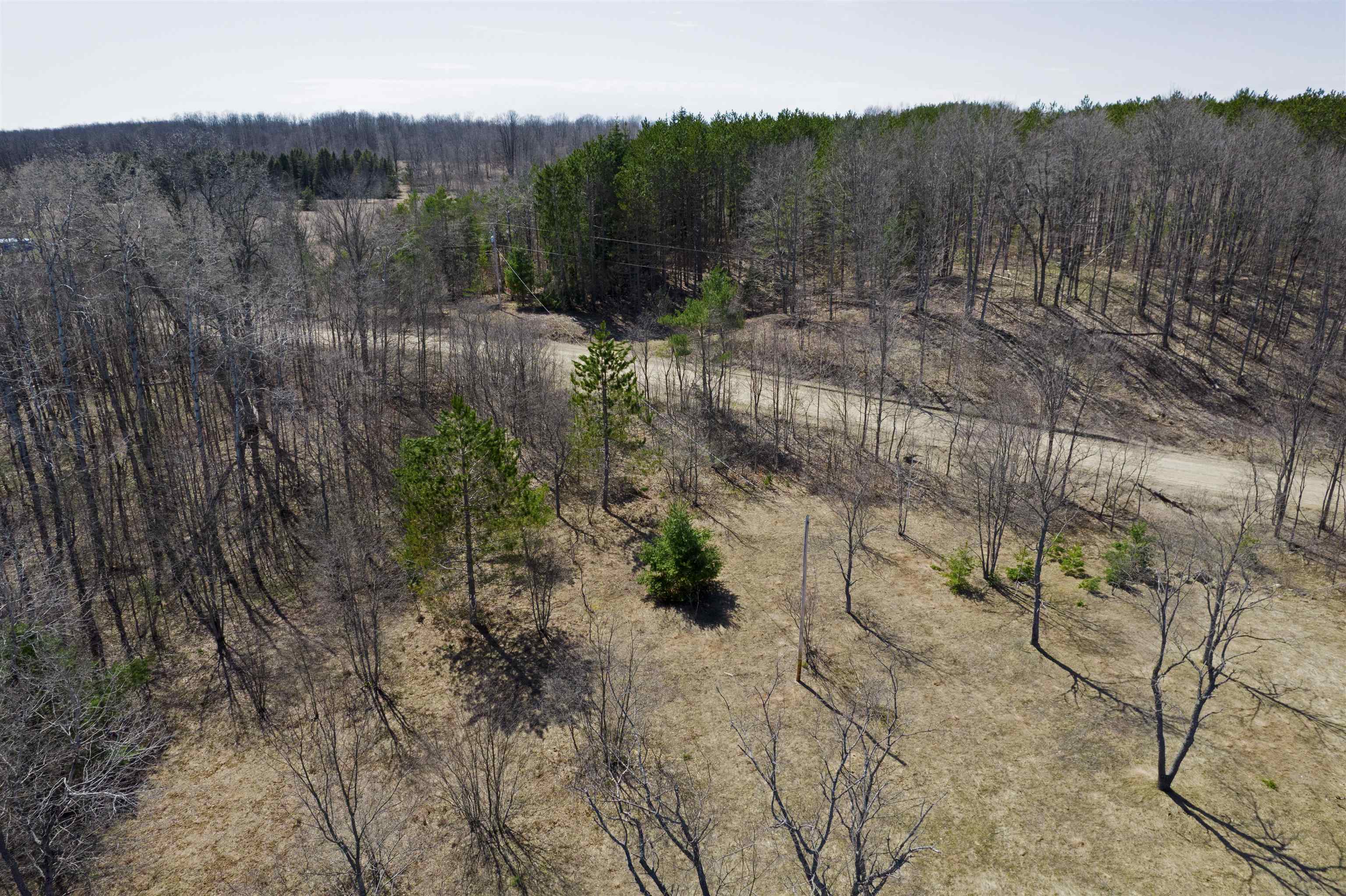 8324 Besaw Road Northeast Mancelona, MI 49659 - Photo 9 of 24 1932813-2d65b5ac-84ea-44f3-943f-29750c6af633.JPG
