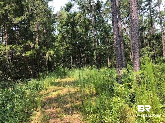17793 River Road Summerdale, AL 36580 - Photo 15 of 17
